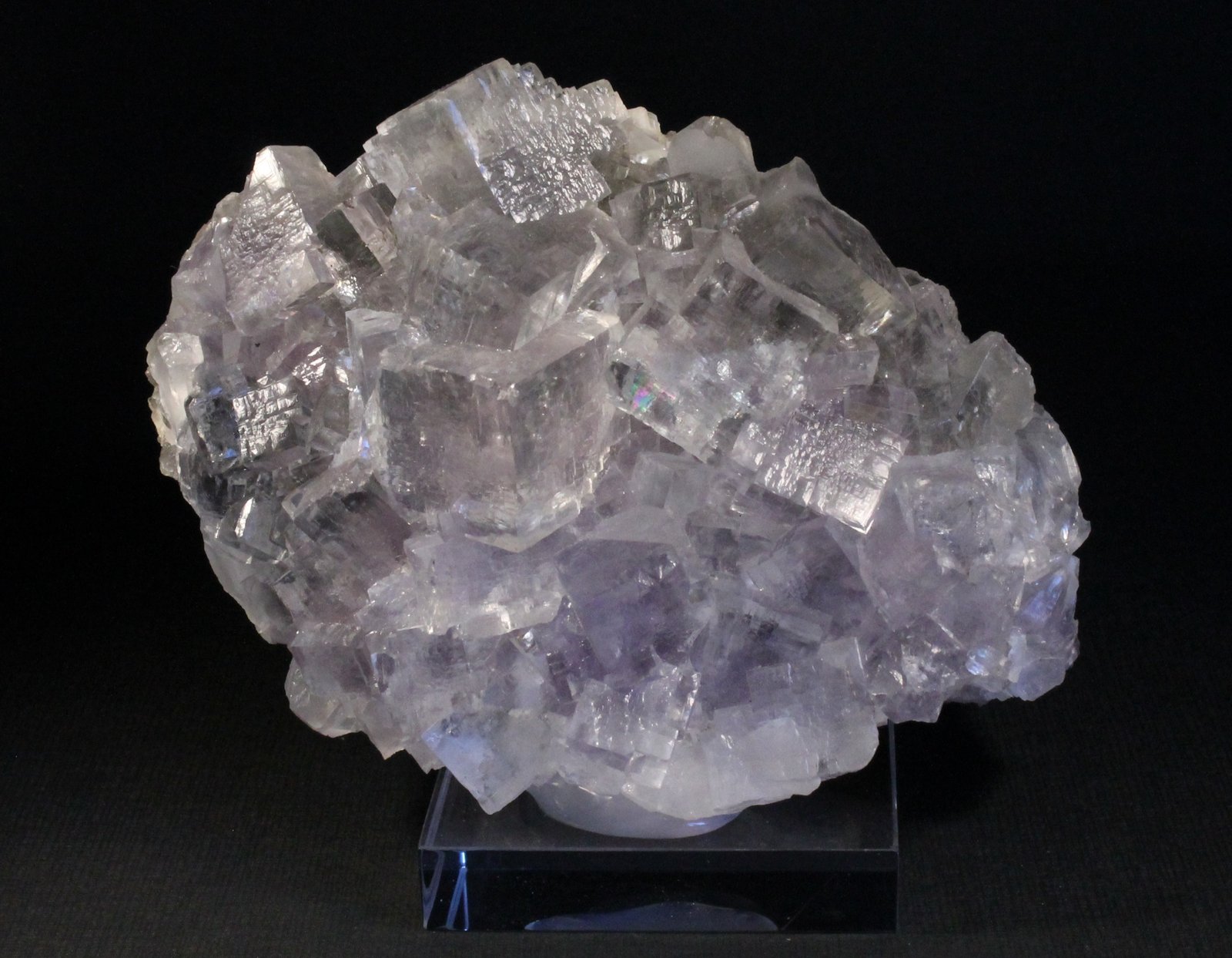 Fluorita
11 x 8 cm. (Cristal mayor: 1,9 cm.)
(Autor: Darío Menéndez)