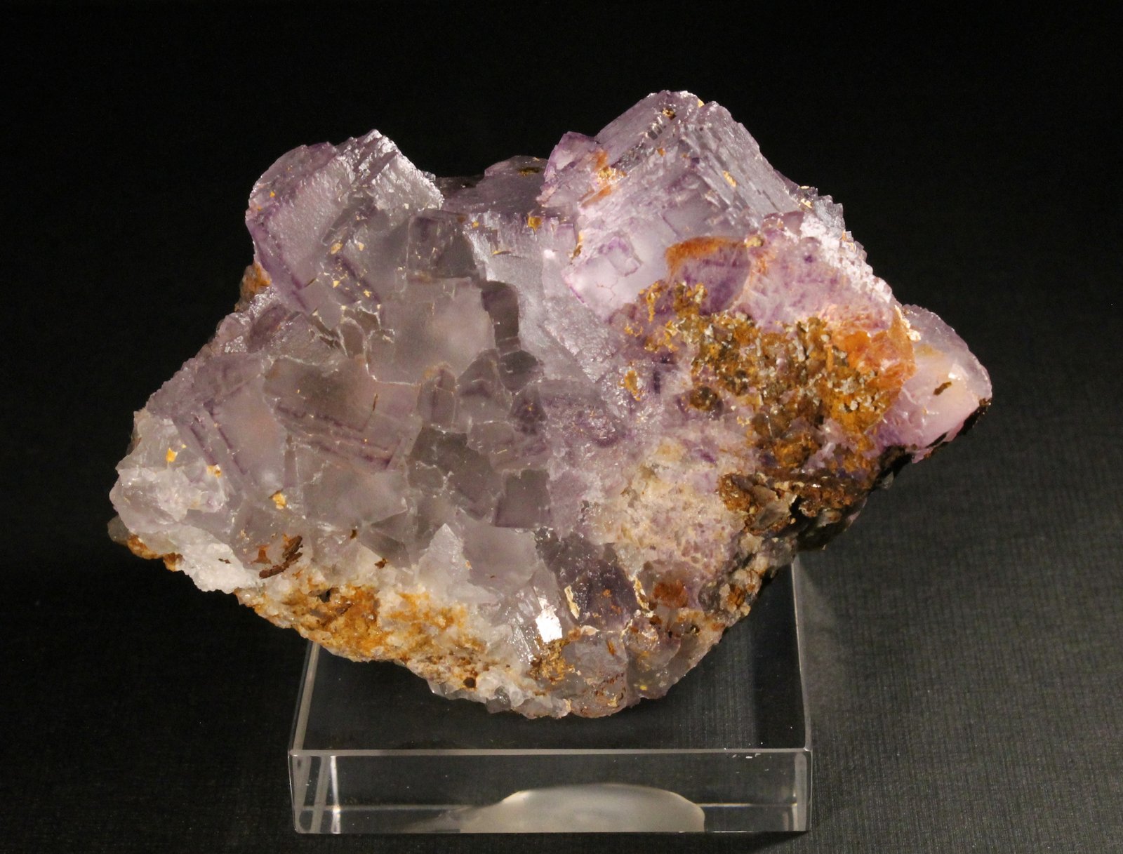 Fluorita
8 x 8 cm. (Cristal mayor: 1,7 cm).
(Autor: Darío Menéndez)