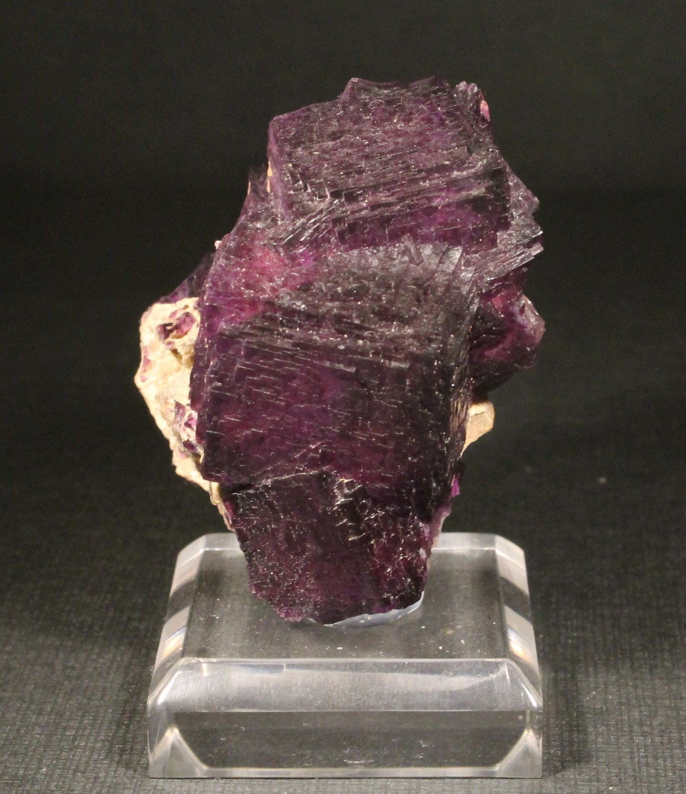 Fluorita
5 x 3,5 cm. (Cristal mayor: 2,5 cm).
(Autor: Darío Menéndez)