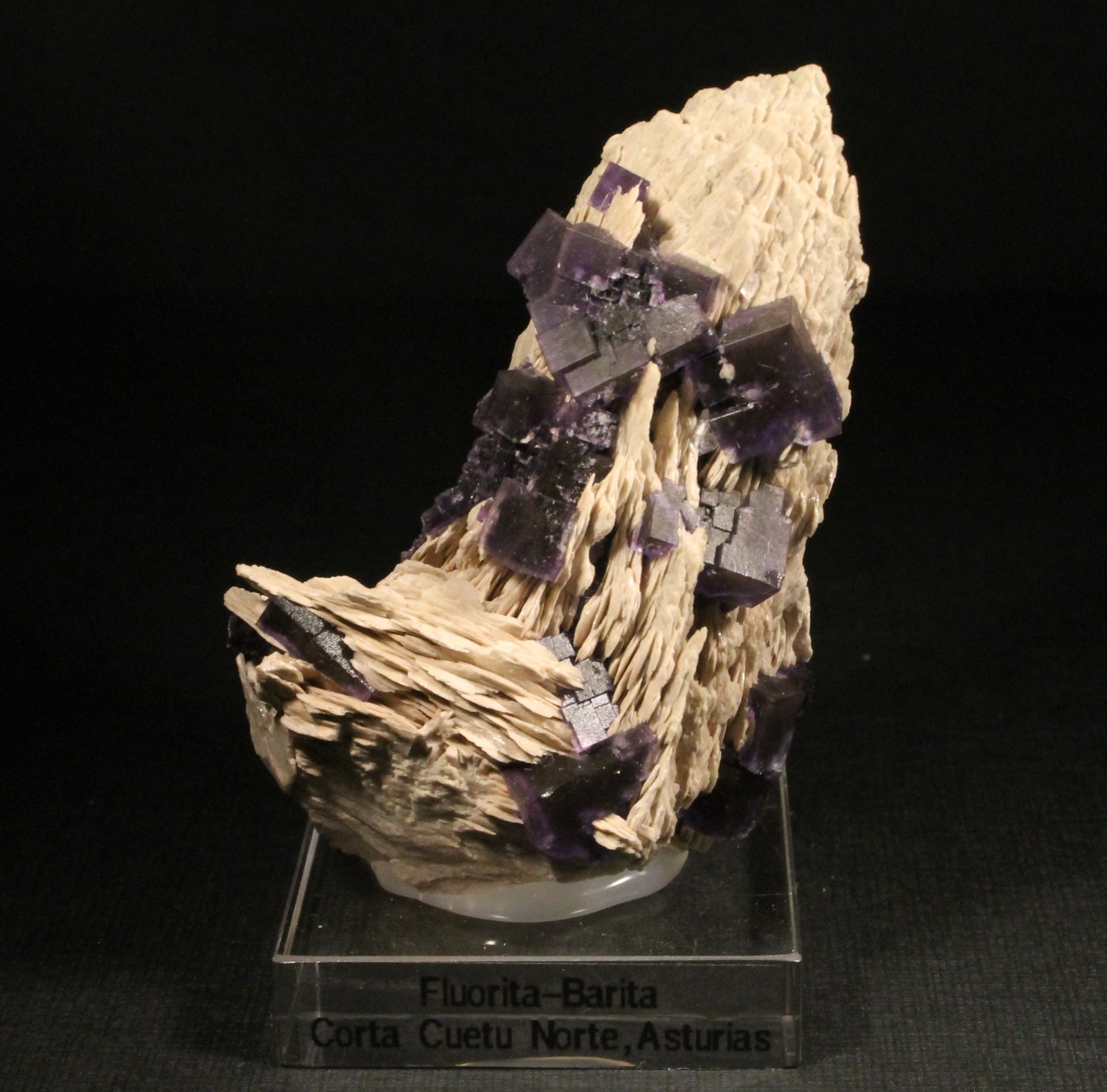 Fluorita y Barita
6,5 x 4,5 cm. (Cristal mayor: 1 cm).
(Autor: Darío Menéndez)