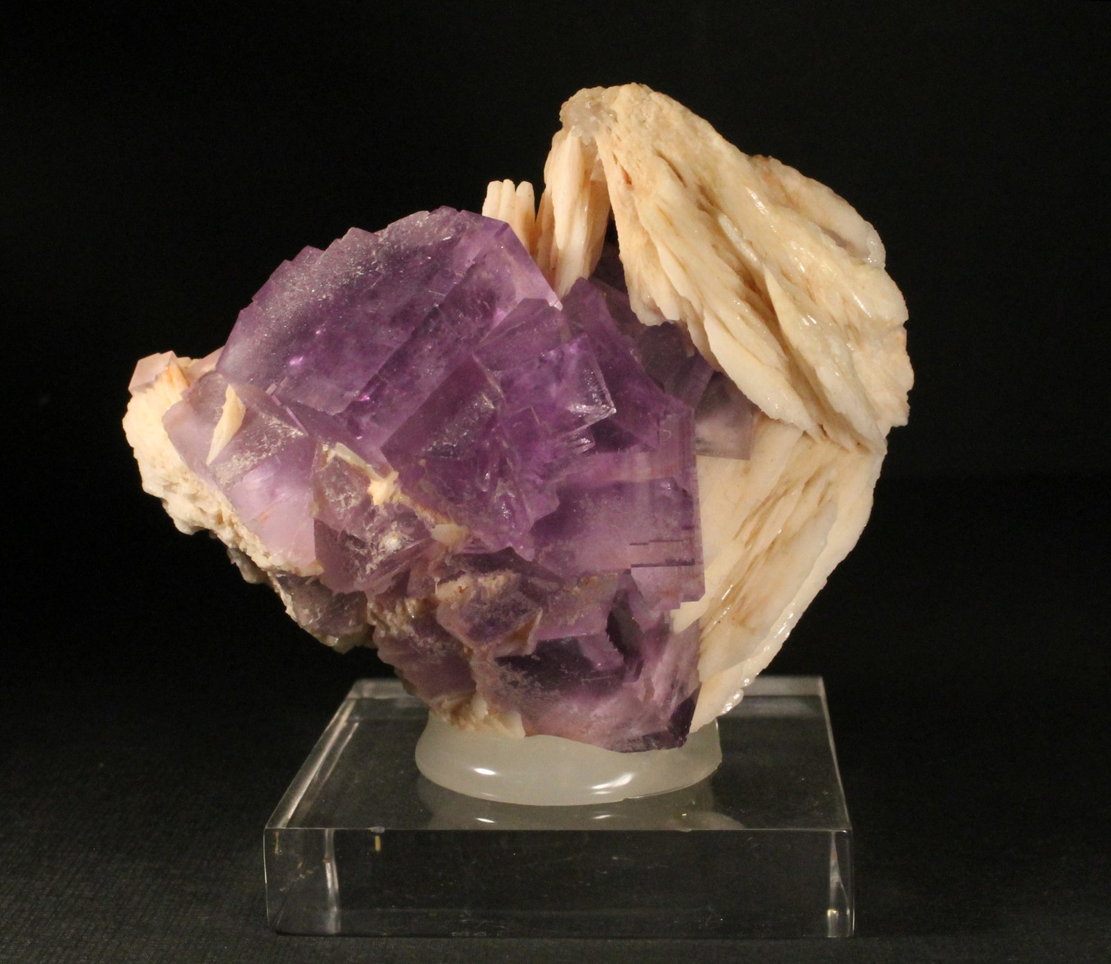 Fluorita y Barita
7 x 6 cm. (Cristal mayor: 2,3 cm).
(Autor: Darío Menéndez)
