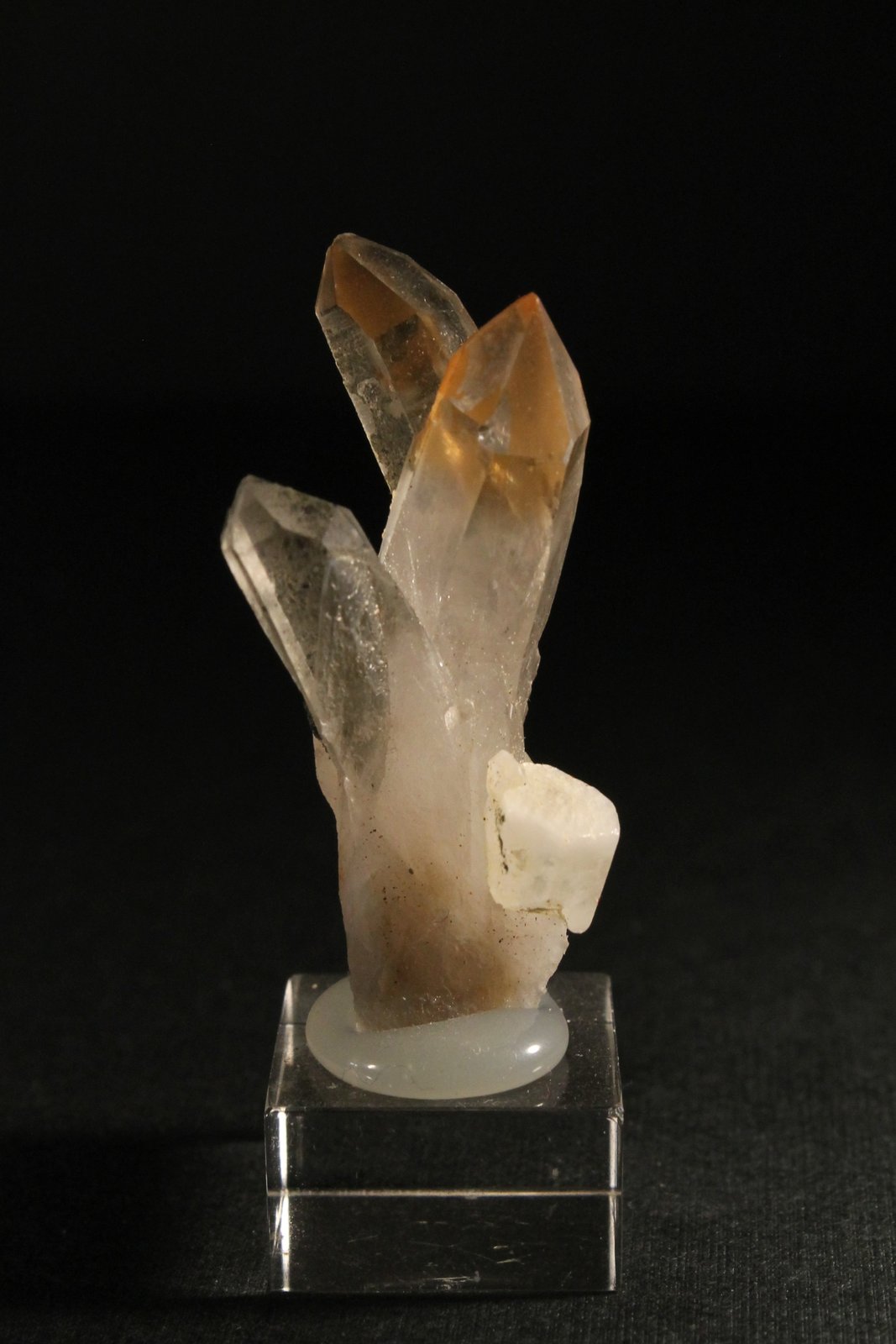 Cuarzo y Fluorapatito
4 x 2 cm.
(Autor: Darío Menéndez)