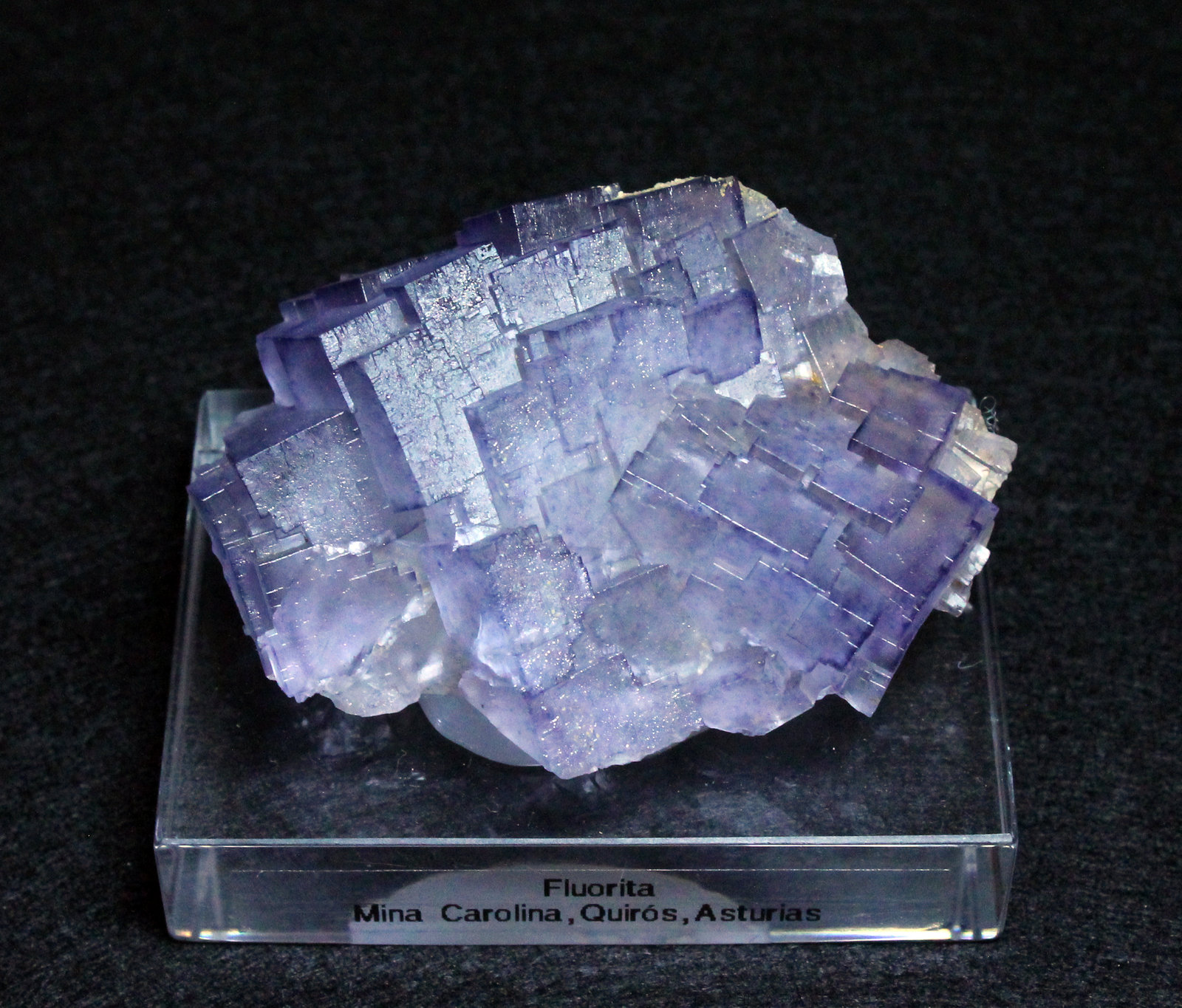 Fluorita
8 x 5 cm.
(Autor: Darío Menéndez)