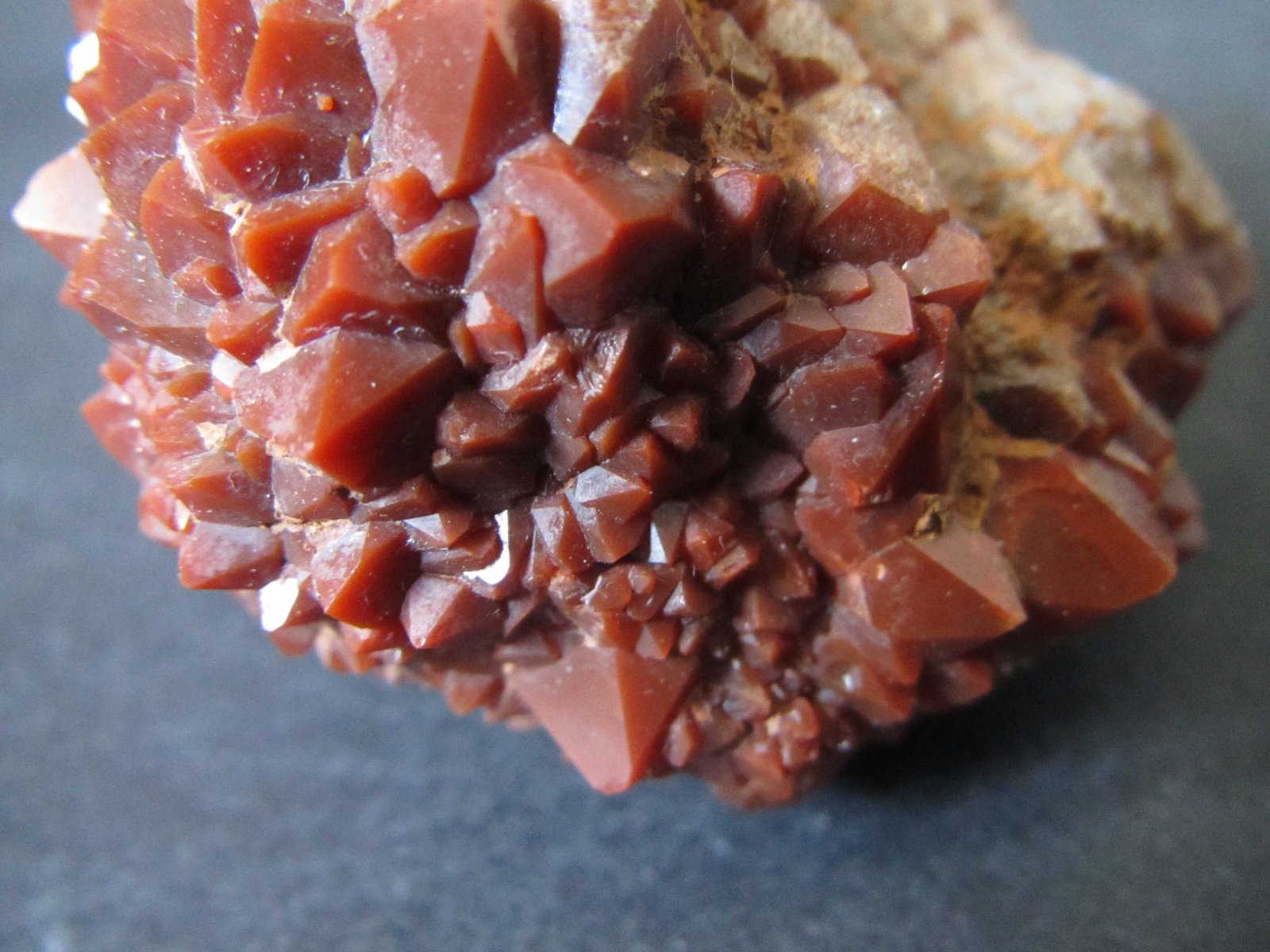 Cuarzo (variedad hematoideo, jacinto de Compostela)
4 cm. ancho de campo
(Autor: prcantos)