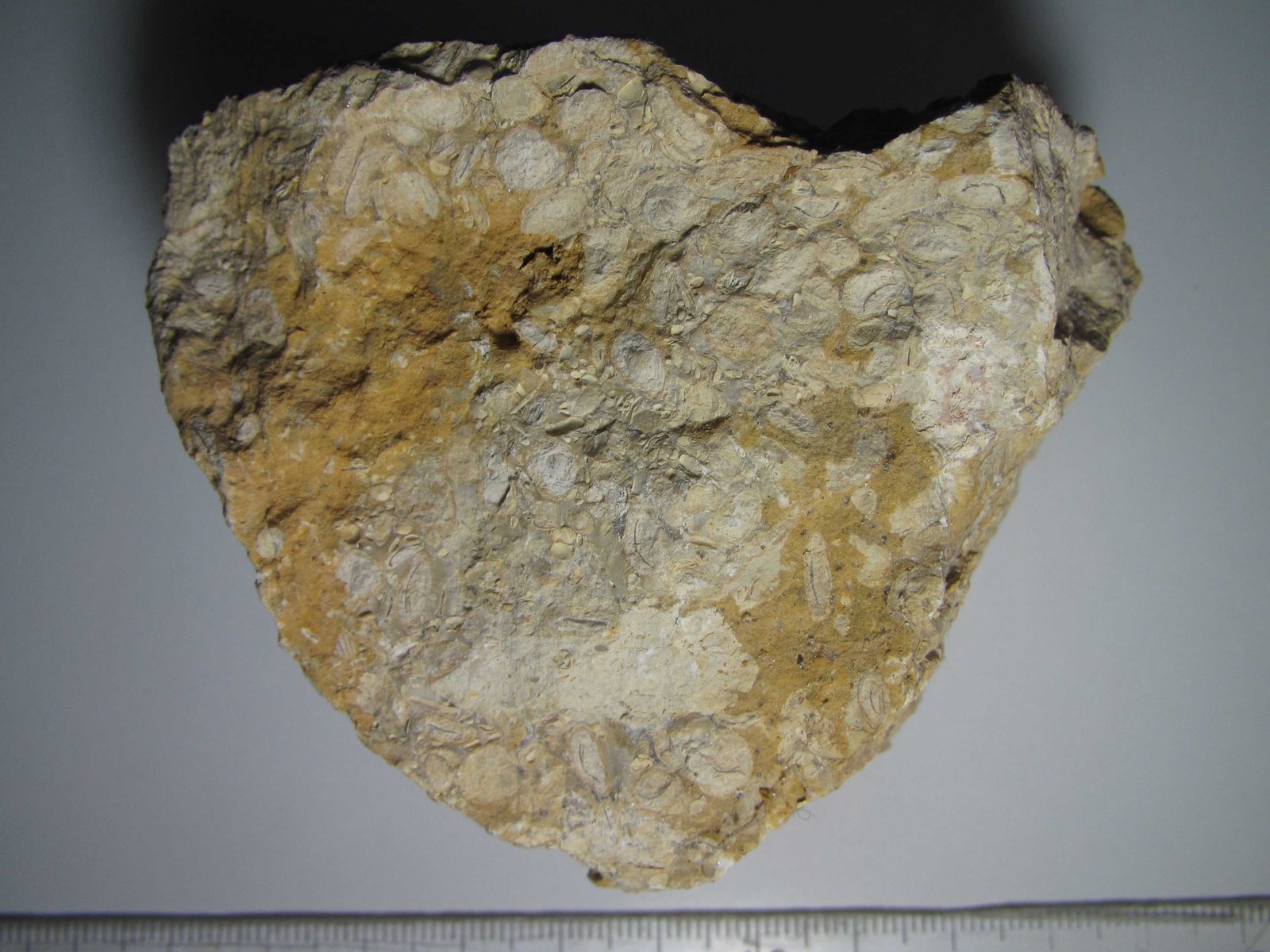 Caliza pisolítica
8 x 7 cm.
(Autor: prcantos)