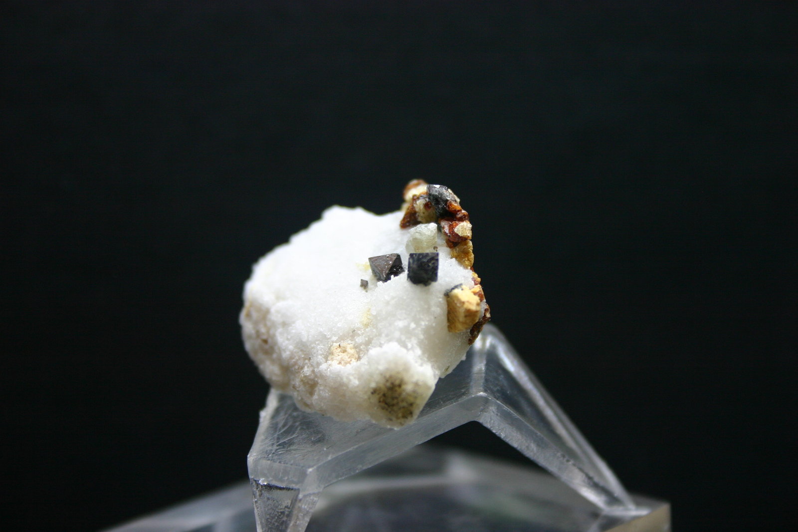 Espinela (variedad pleonasto), Clinohumita y Forsterita
31mm - 26mm - 16mm / 4mm - 4mm - 4mm
(Autor: Pedro Naranjo)