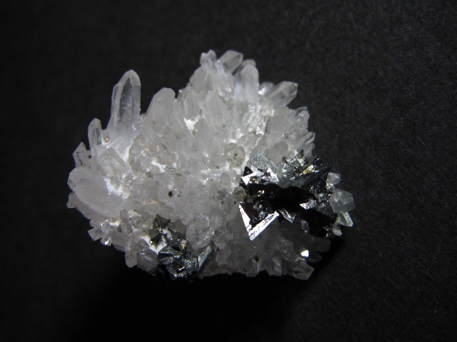 Tetraedrita y Cuarzo
3 x 3 cm.
(Autor: prcantos)