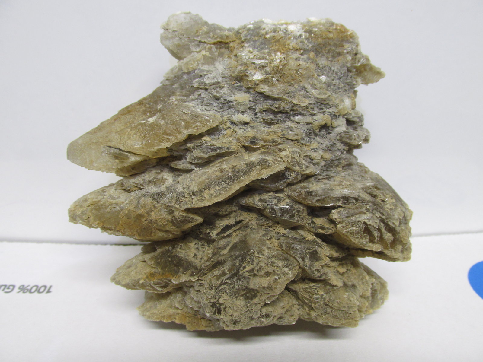Yeso
18x15 cm
(Autor: Miguel Ángel Martinez)