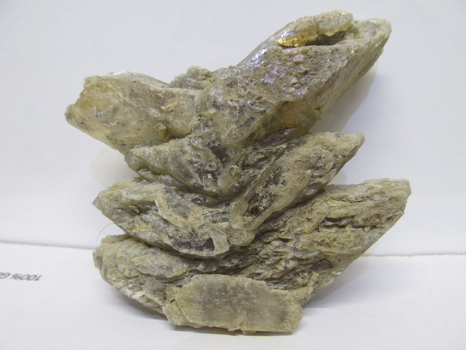 Yeso
16x15 cm
(Autor: Miguel Ángel Martinez)