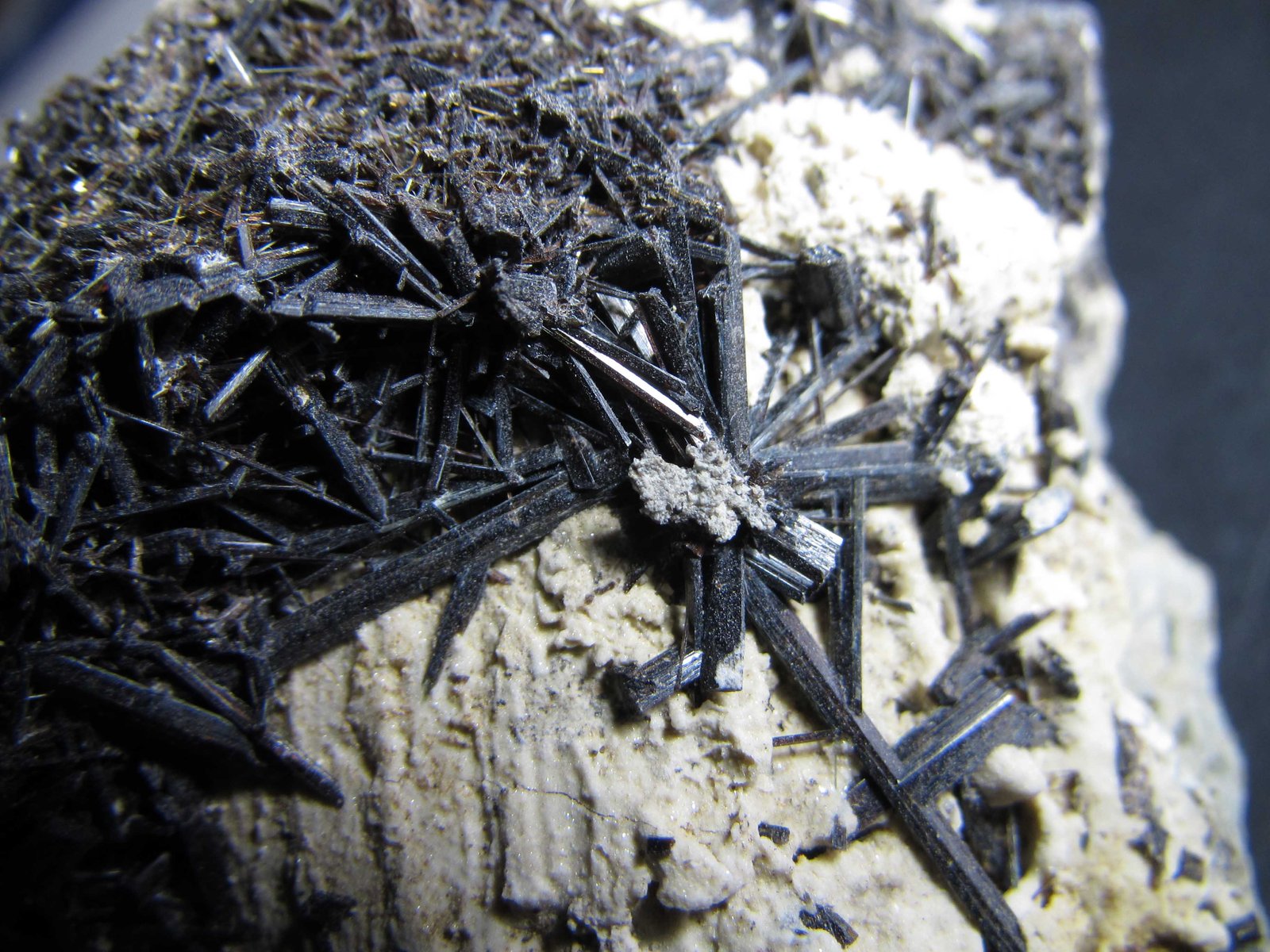 Ferroactinolita-Tremolita (Serie)
4 cm. ancho de campo
(Autor: prcantos)