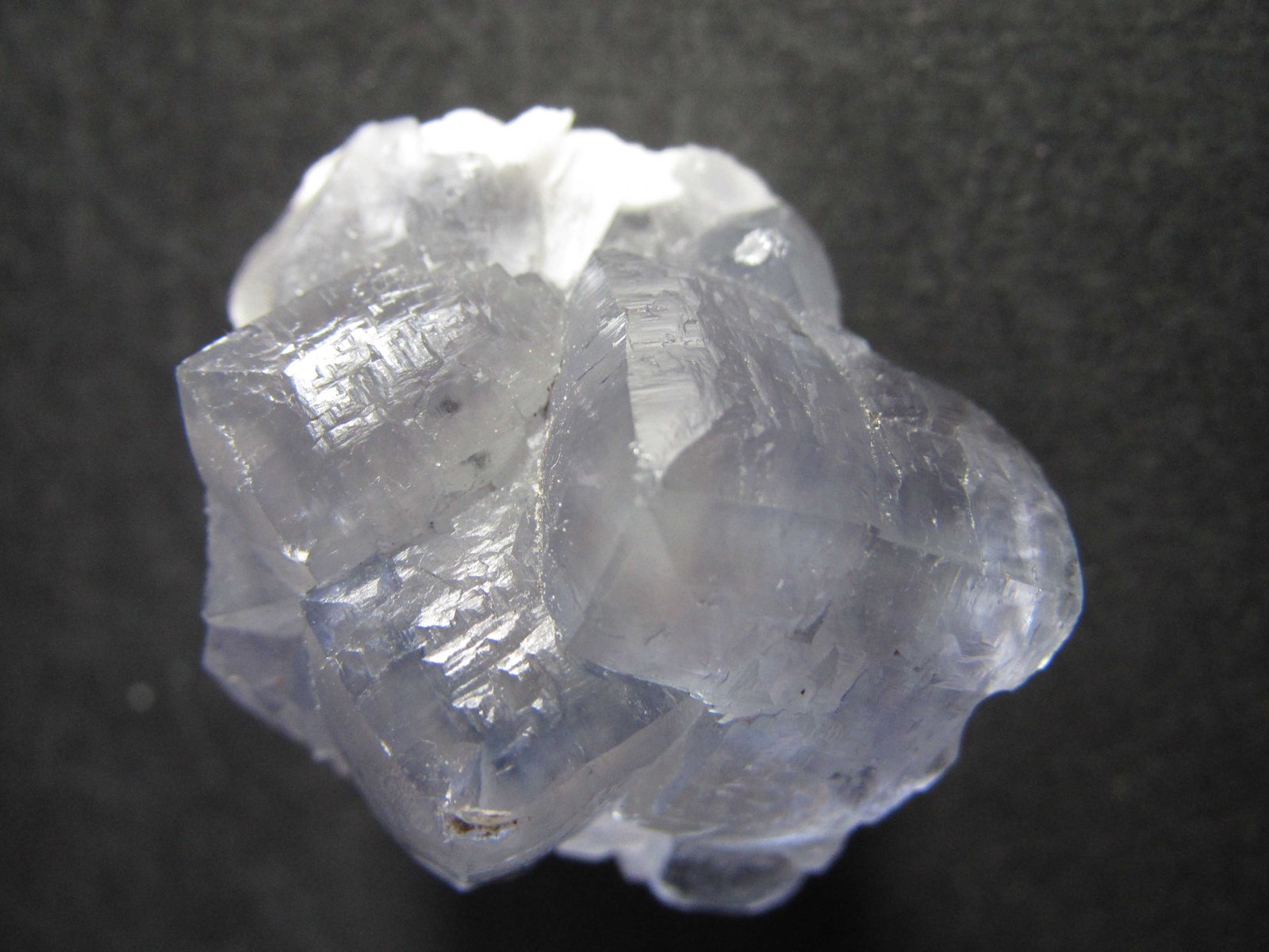 Fluorita
4 x 3 cm.
(Autor: prcantos)