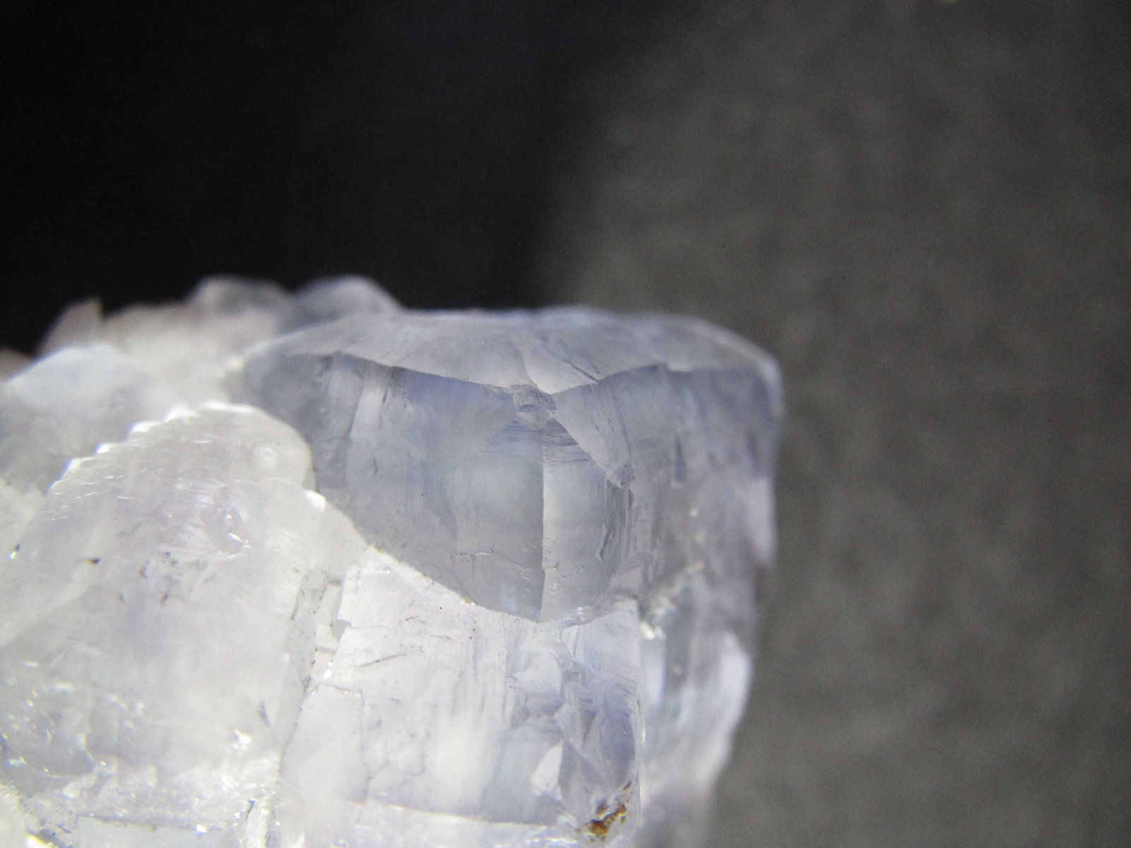Fluorita
2'5 cm. ancho de campo
(Autor: prcantos)
