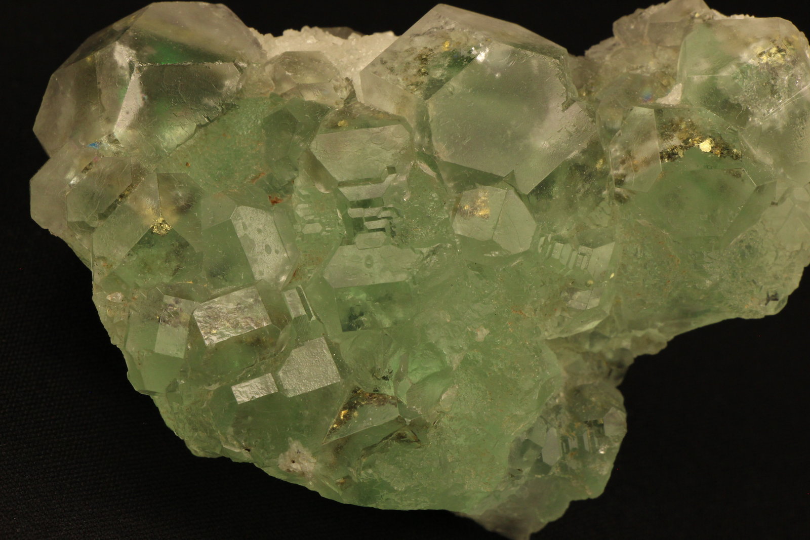 Fluorita, Pirita
9 x 6.5 x 4.3 centimetros
(Autor: Ricardo Melendez)
