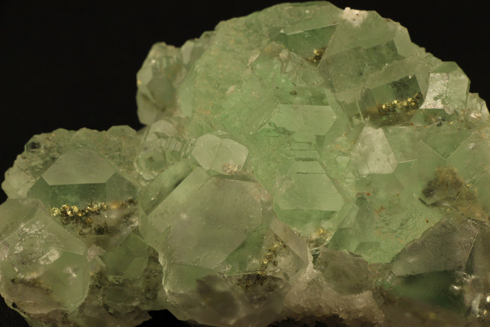 Fluorita, Pirita
9 x 6.5 x 4.3 centimetros
(Autor: Ricardo Melendez)