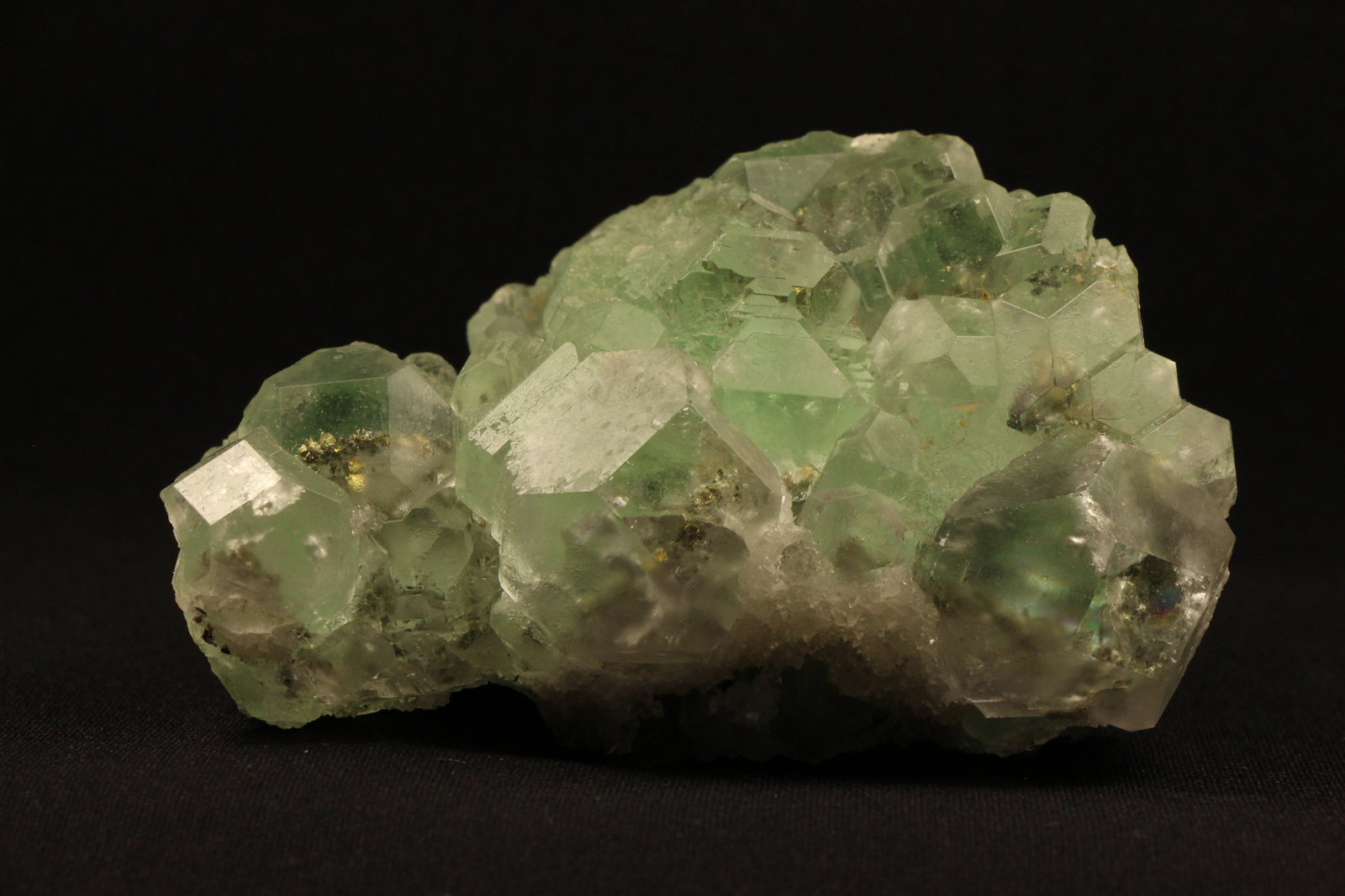 Fluorita, Pirita
9 x 6.5 x 4.3 centimetros
(Autor: Ricardo Melendez)