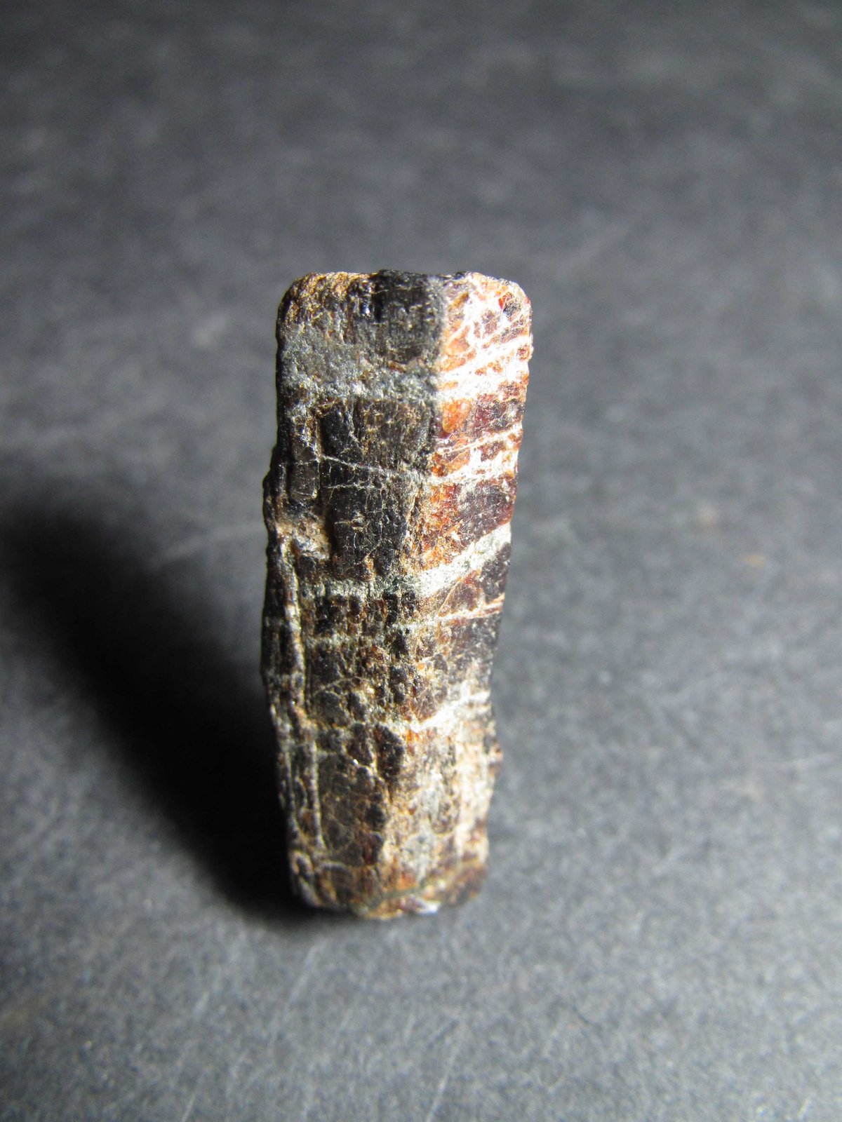 Estaurolita
1 x 3 cm.
(Autor: prcantos)