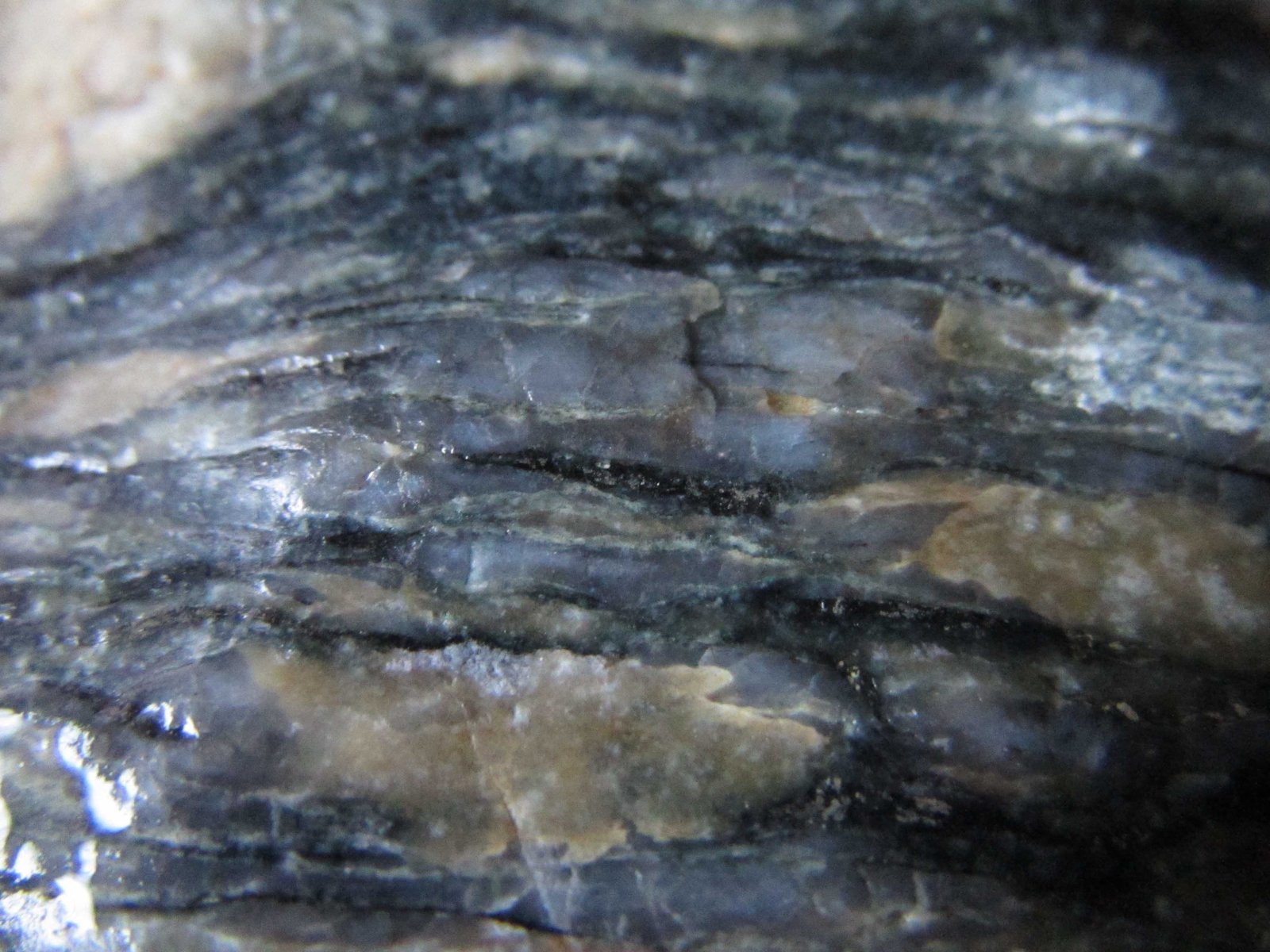 Ortogneis
3 cm. ancho de campo
(Autor: prcantos)