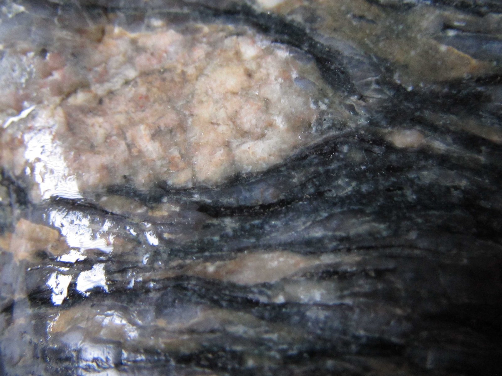 Ortogneis
4 cm. ancho de campo
(Autor: prcantos)