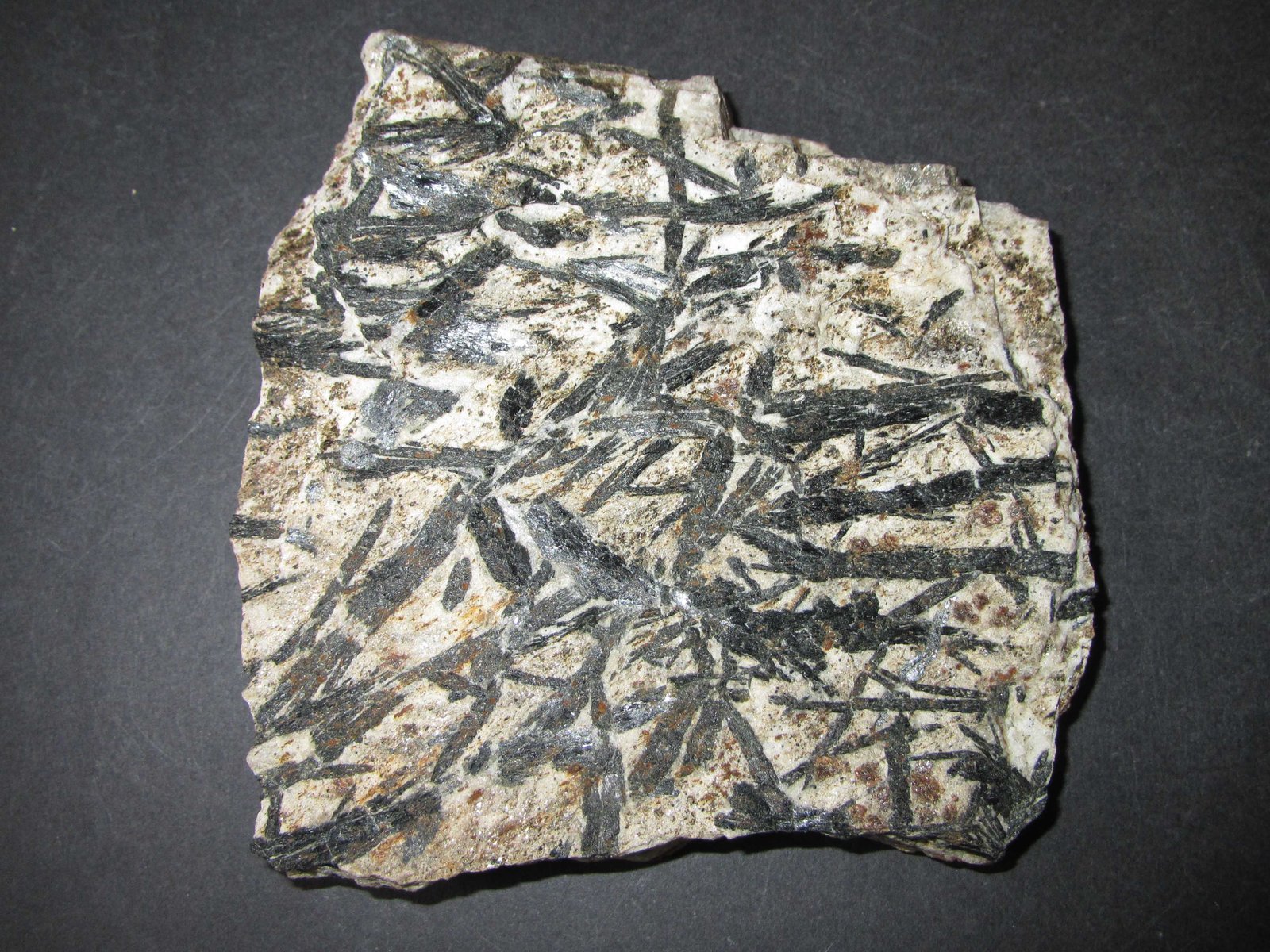 Micaesquisto con granate y anfíbol
10 x 10 cm.
(Autor: prcantos)