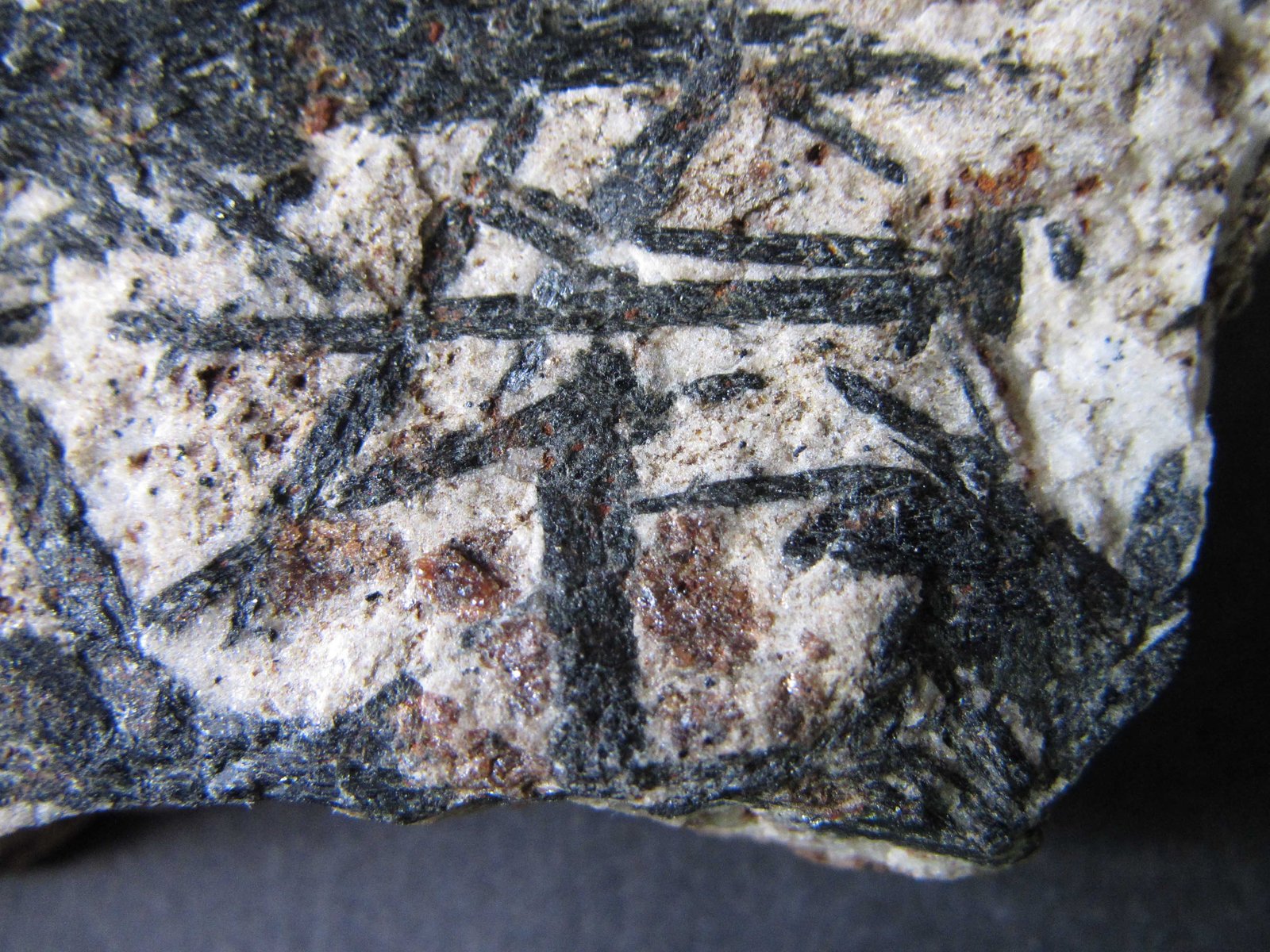 Micaesquisto con granate y anfíbol
4 cm. ancho de campo
(Autor: prcantos)