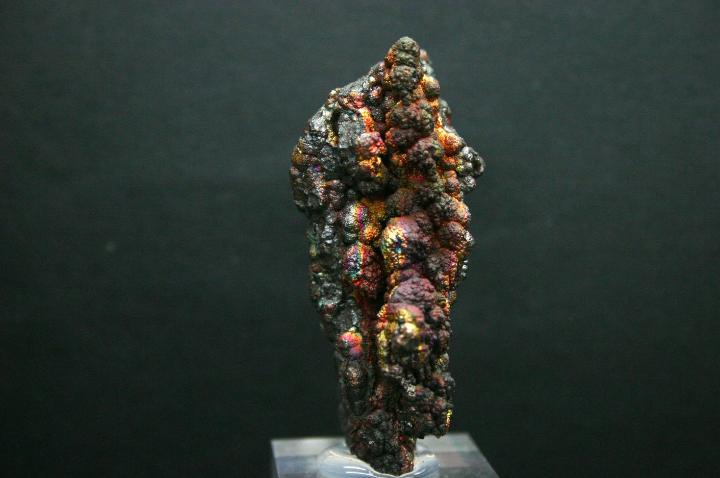 Goethita
60mm - 27mm - 30mm
(Autor: Pedro Naranjo)