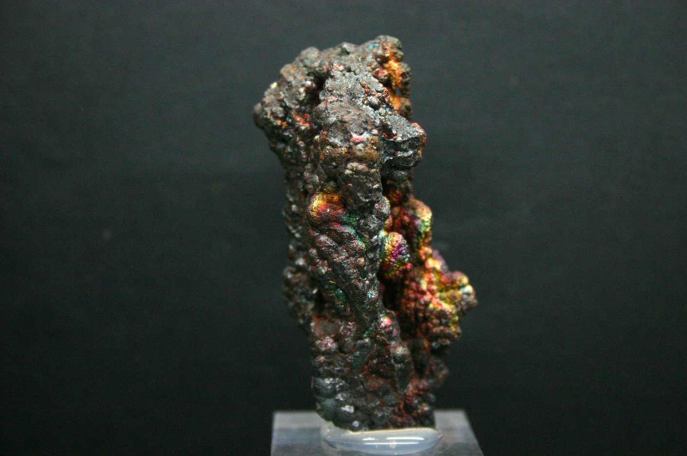 Goethita
60mm - 27mm - 30mm
(Autor: Pedro Naranjo)