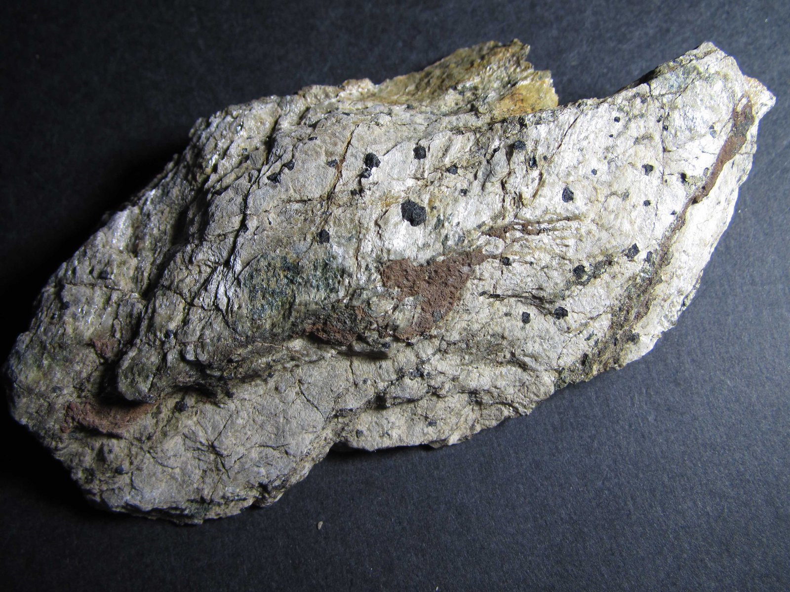 Cloritoide
8'5 x 4'5 cm.
(Autor: prcantos)