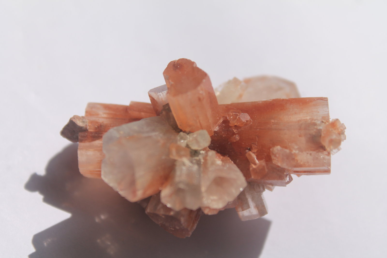 Aragonito.
5 cm. longitud.
(Autor: Rafael varela olveira)