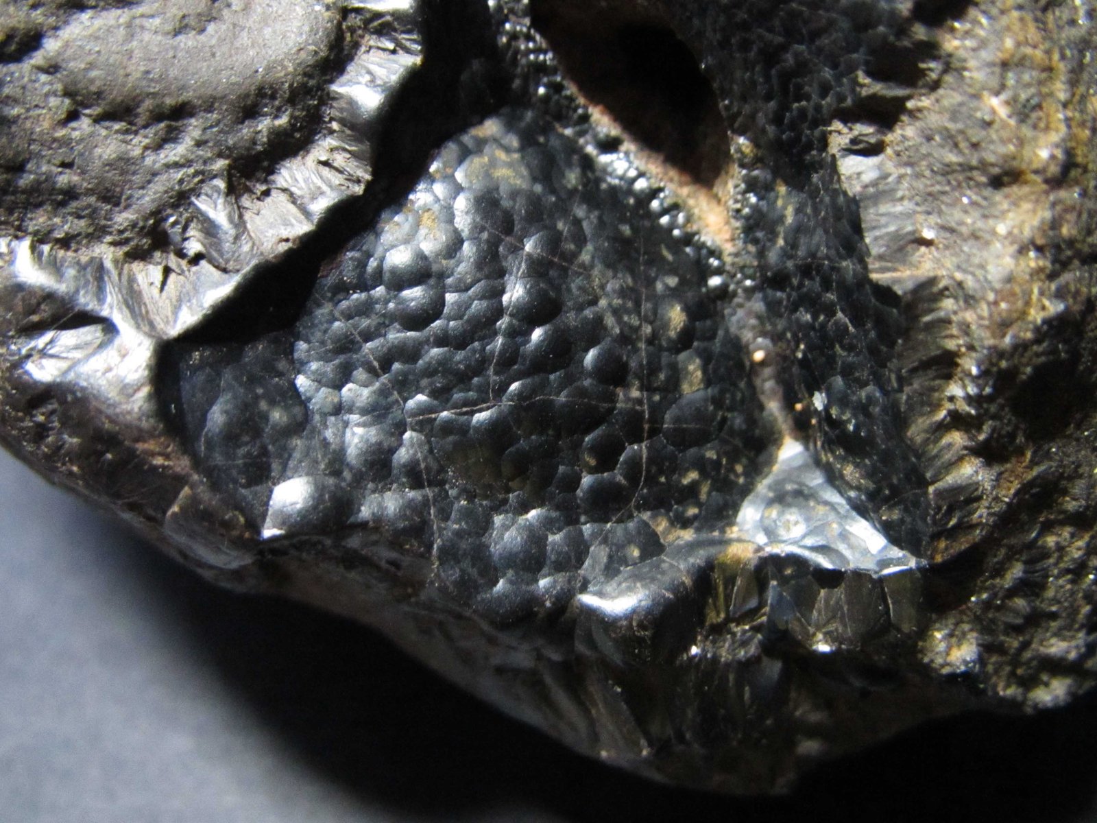 Goethita
4 cm. ancho de campo
(Autor: prcantos)