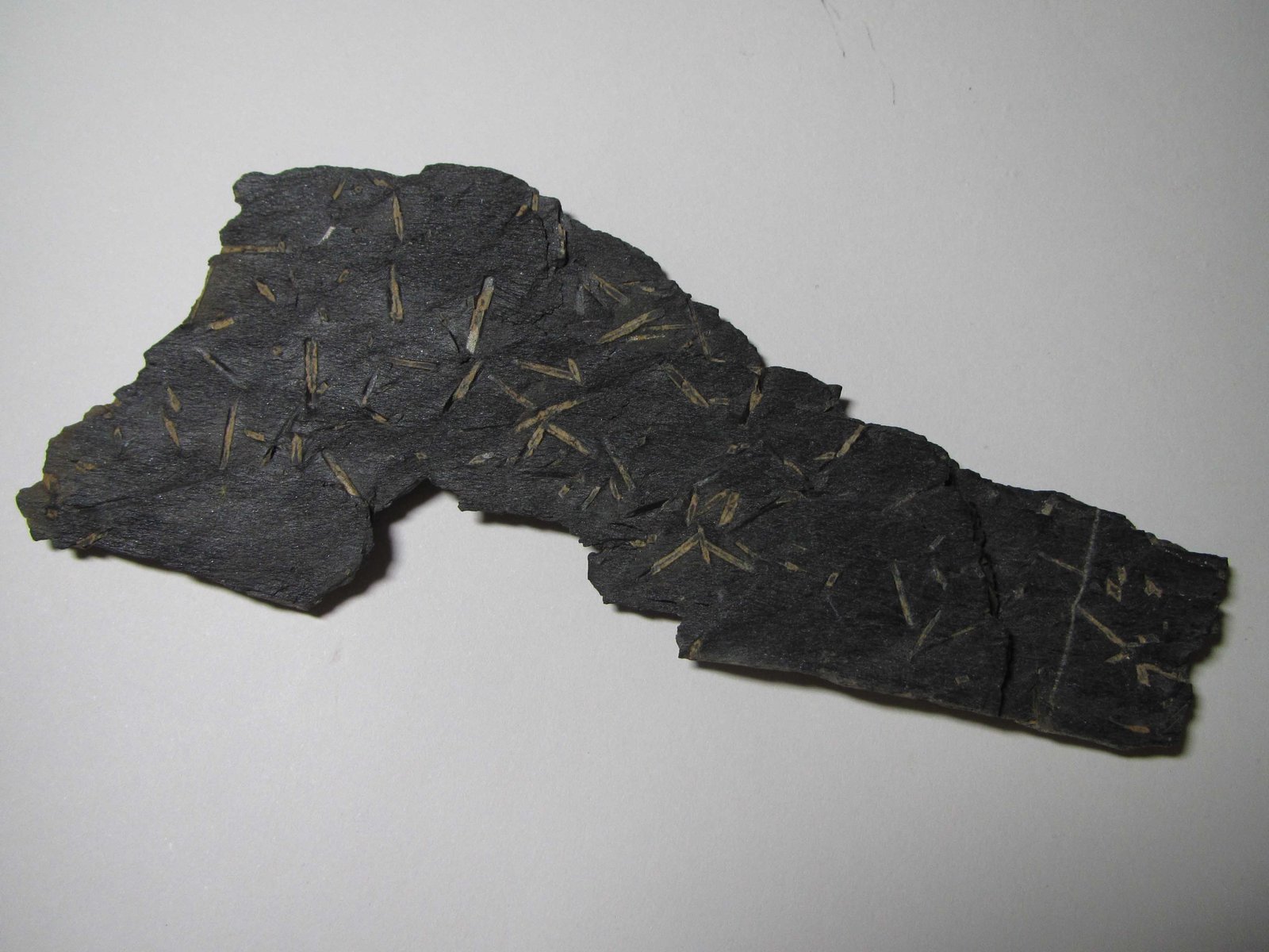 Pizarra con quiastolita
11 x 4'5 cm.
(Autor: prcantos)