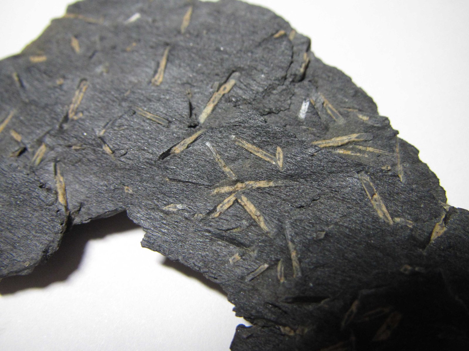 Pizarra con quiastolita
4'5 cm. ancho de campo
(Autor: prcantos)