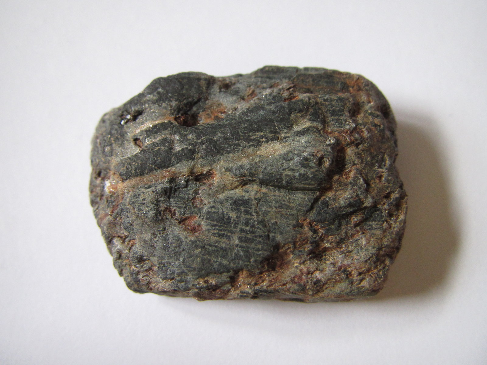 Cloritoide
3'5 x 2'5 cm.
(Autor: prcantos)