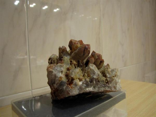 Cuarzo
7 cm x 7 cm aprox. Cristal más grande 5 cm
(Autor: Rodrigo Fresco)