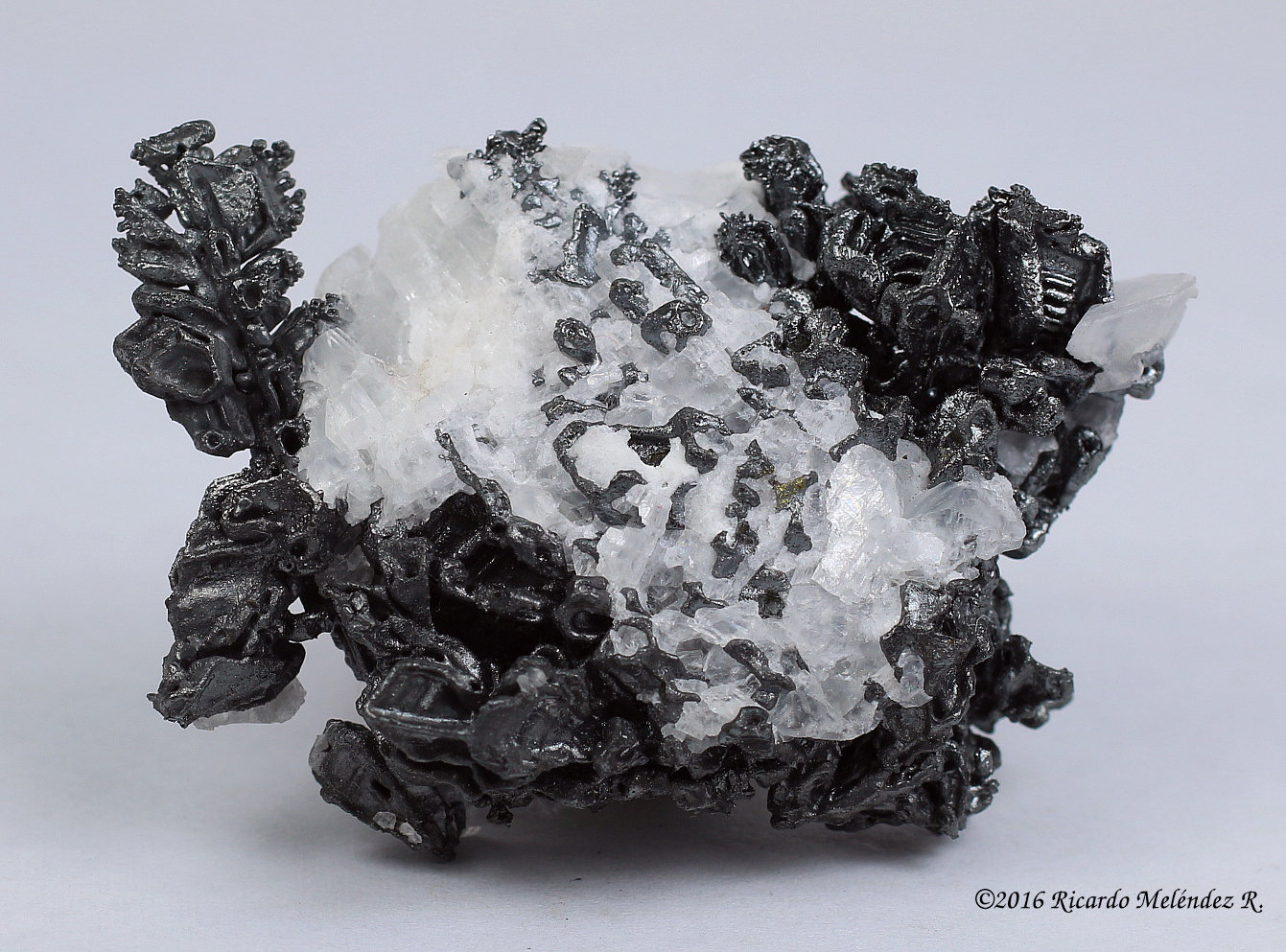 Acantita, Calcita
4.7 x 3.5 x 2 centimetros
(Autor: Ricardo Melendez)
