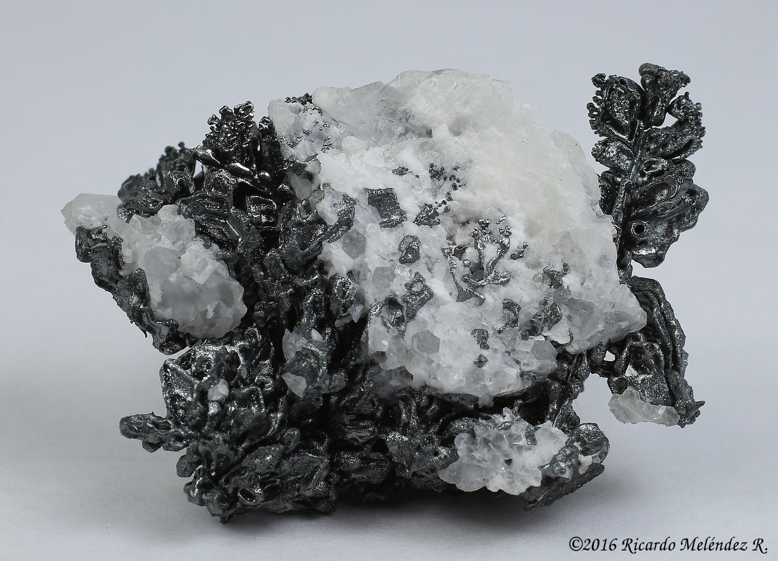 Acantita, Calcita
4.7 x 3.5 x 2 centimetros
(Autor: Ricardo Melendez)