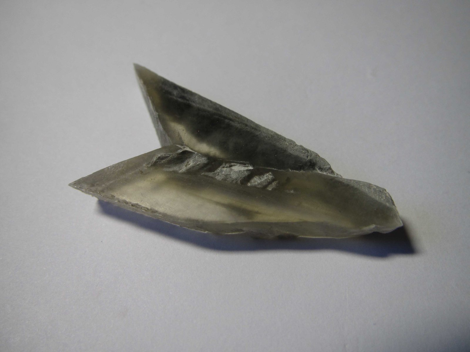 Yeso
4 x 2 cm.
(Autor: prcantos)