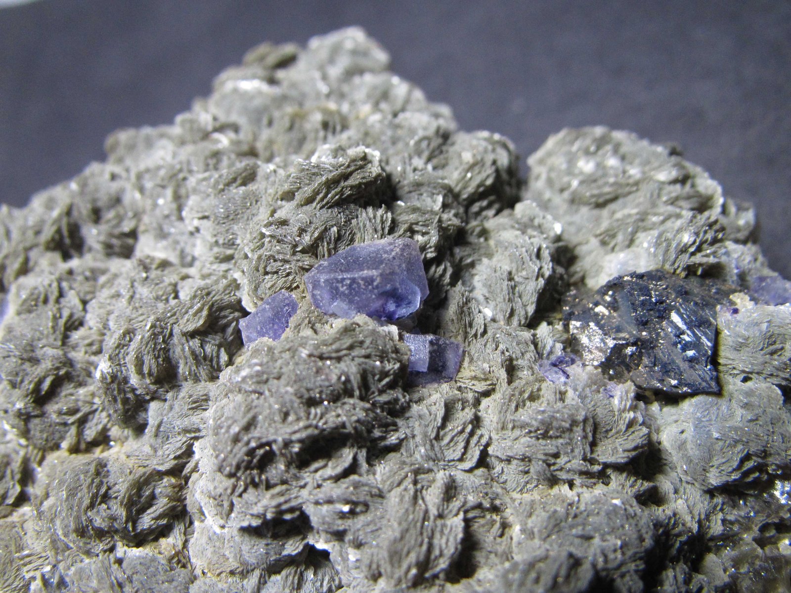 Fluorita, Arsenopirita, Siderita
5 cm. ancho de campo
(Autor: prcantos)
