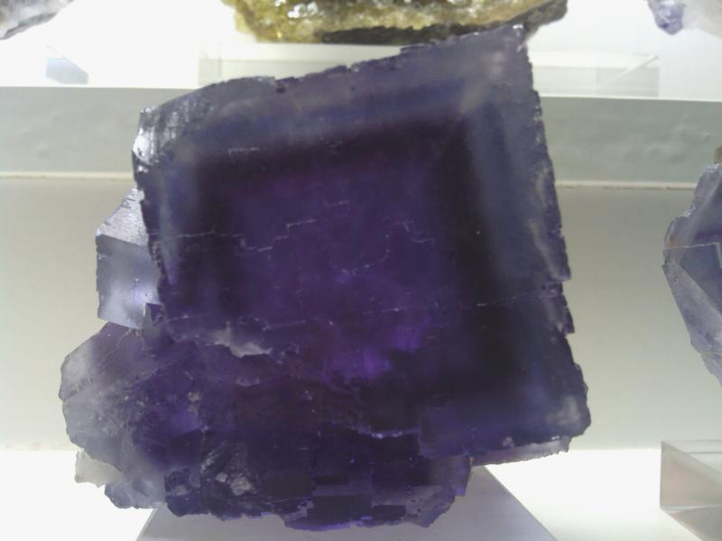 (Autor: DavidSG)