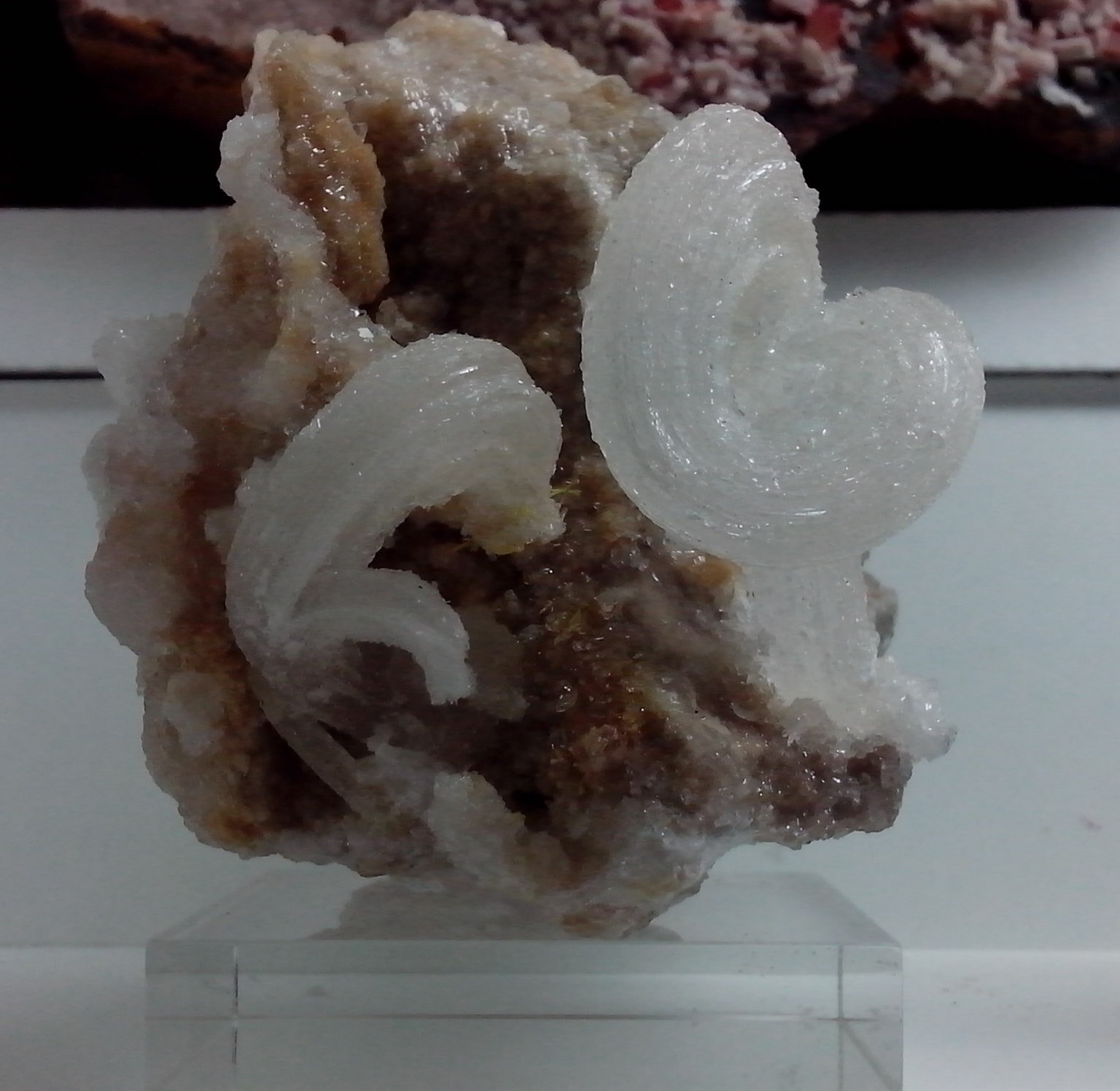 Yeso
5 x 5 x 5 cm
(Autor: DavidSG)