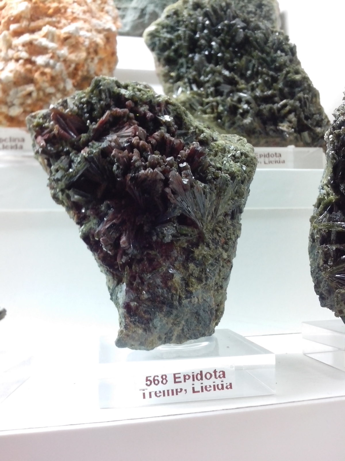 Epidota
8 x 6 x 4 cm
(Autor: DavidSG)