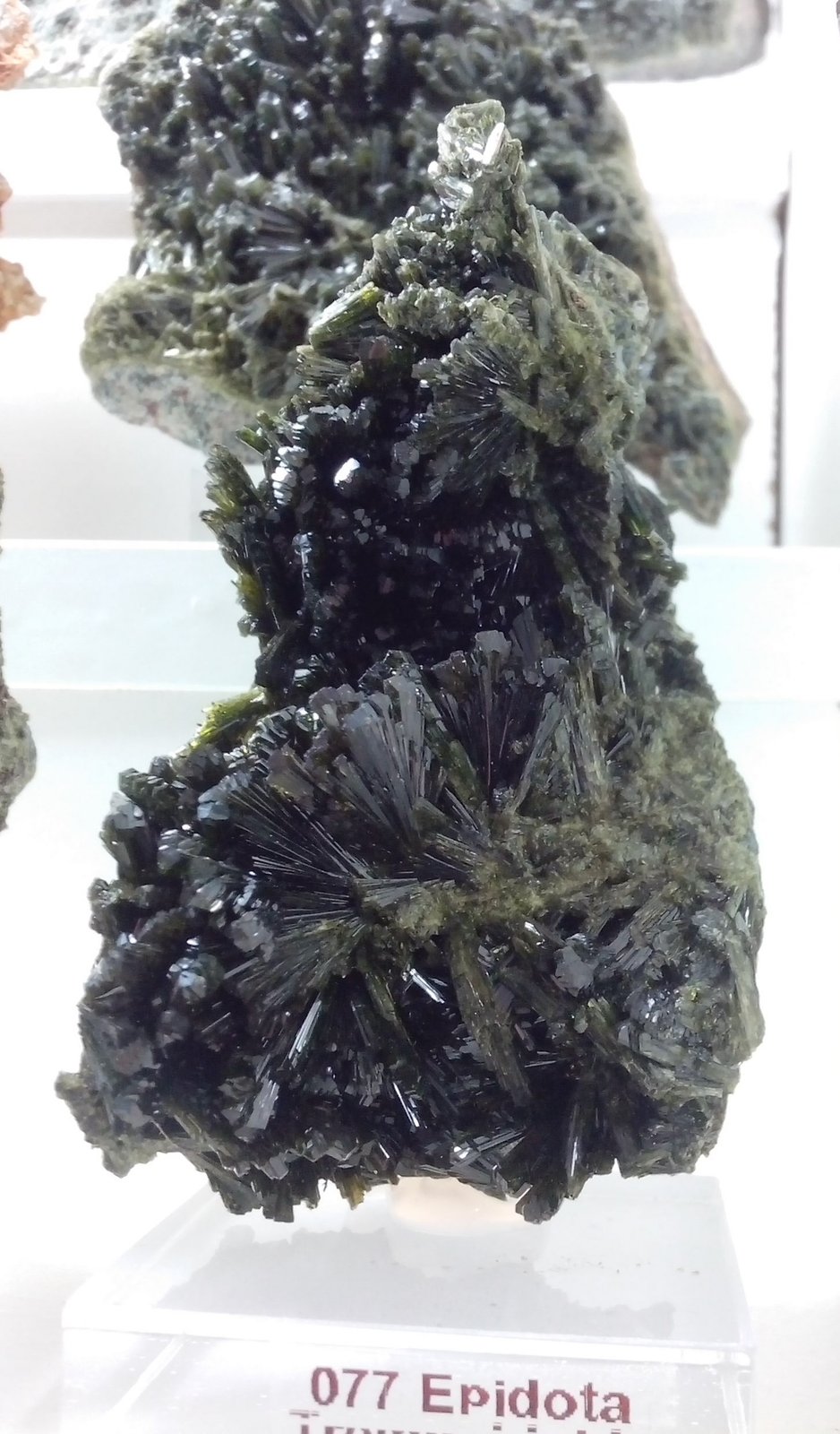 Epidota
9 x 5 x 3 cm
(Autor: DavidSG)