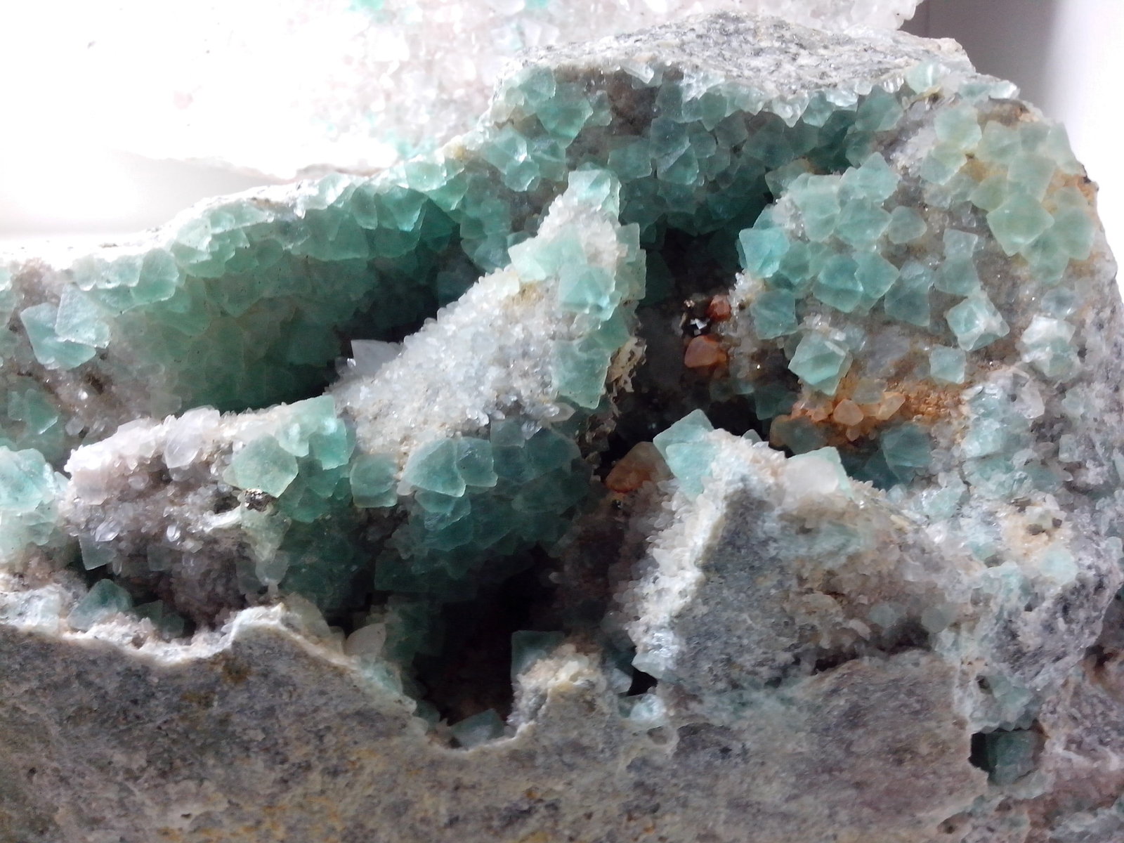 Fluorita
13 x 8 x 6 cm
(Autor: DavidSG)