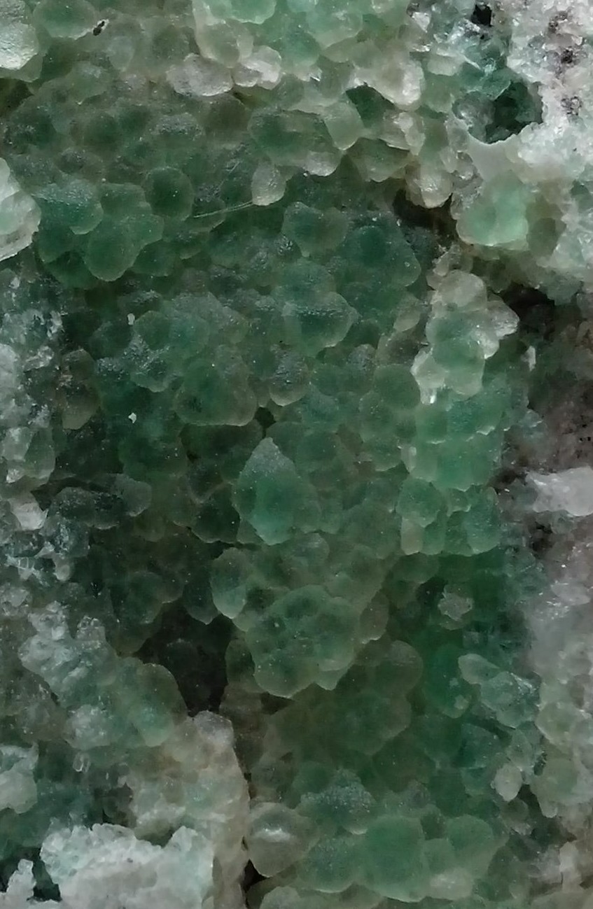 Fluorita
7 x 4 cm
(Autor: DavidSG)