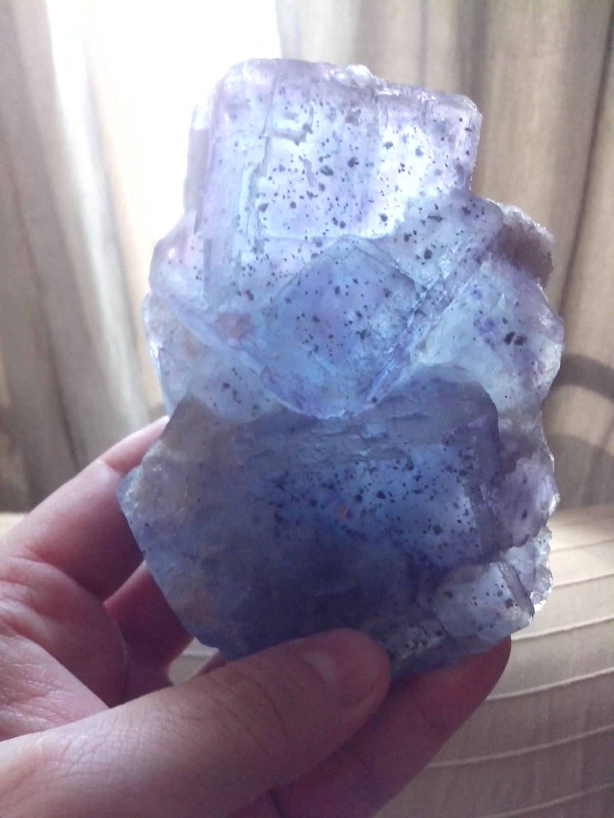 Fluorita
12 x 8 x 5 cm
(Autor: DavidSG)