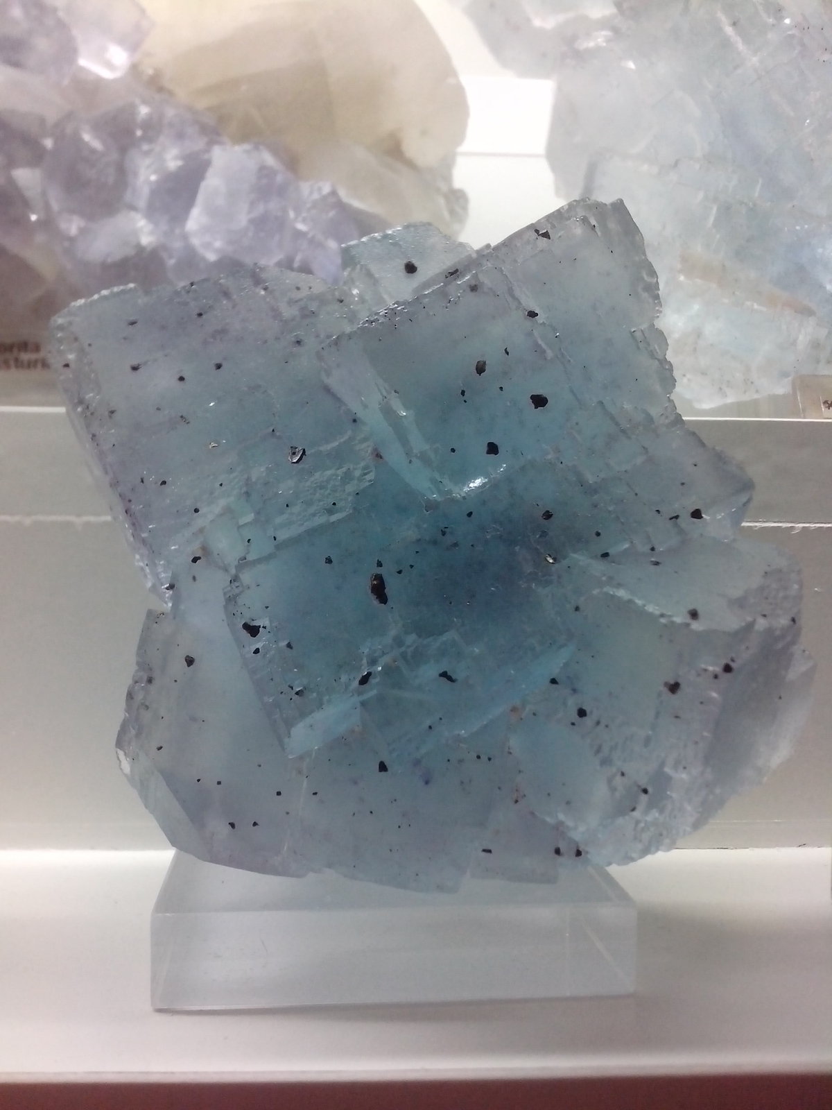 Fluorita
9 x 9 x 5 cm
(Autor: DavidSG)