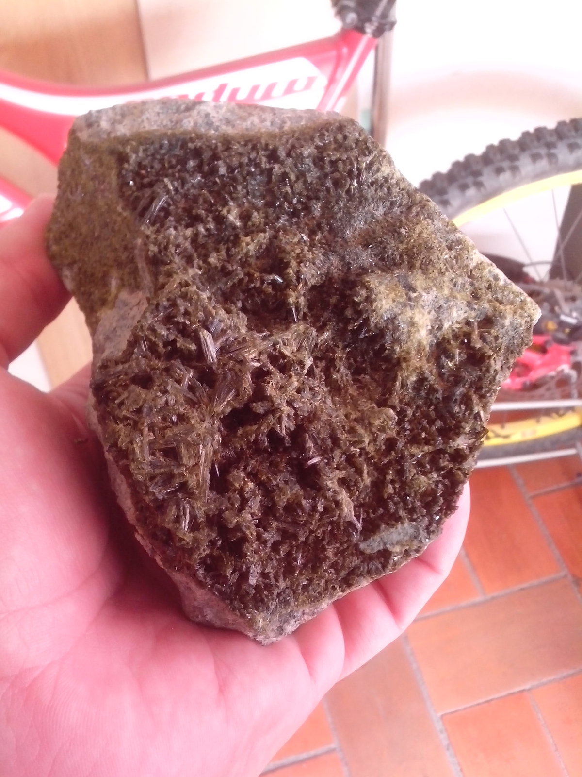 Epidota
10x9 cm
(Autor: Lluc)