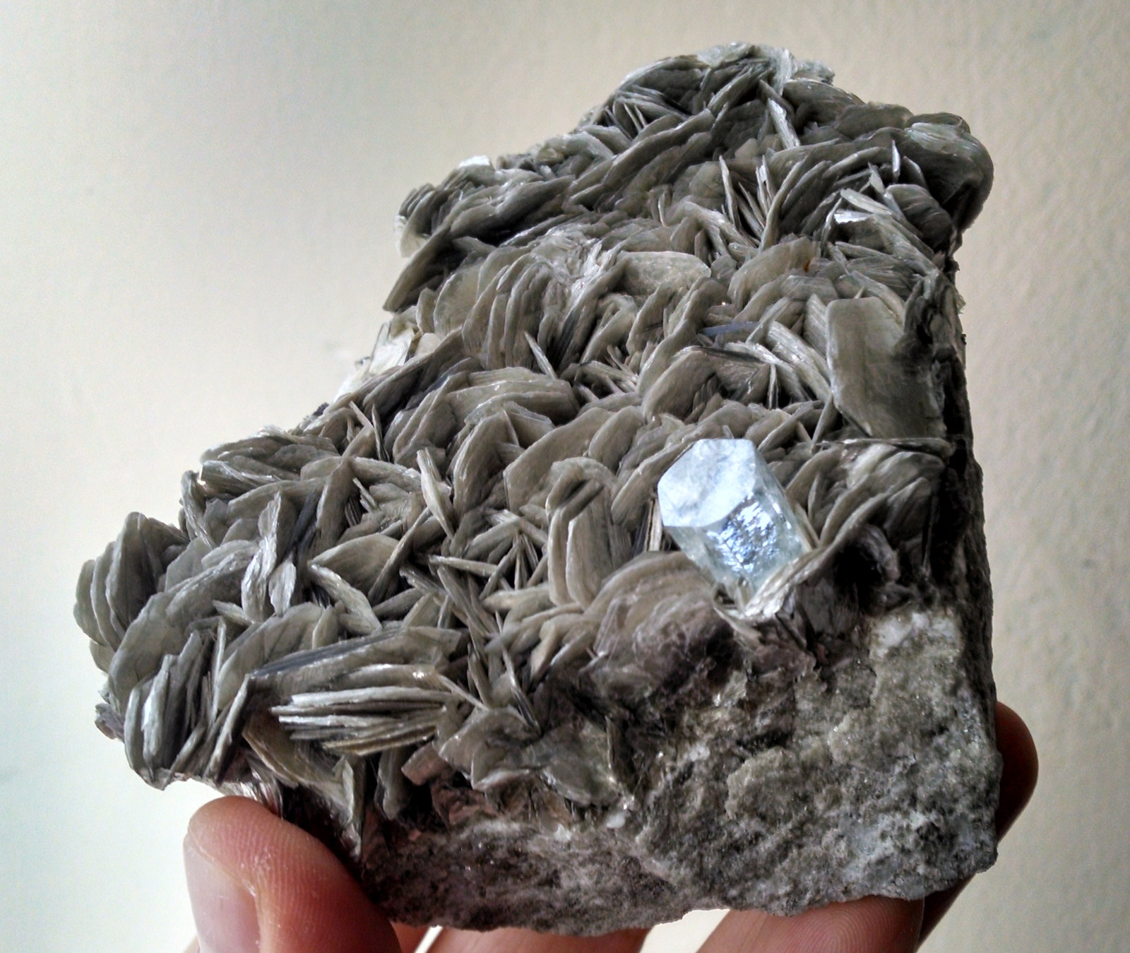 Moscovita y Berilo (variedad aguamarina)
10 x 9 x 3.7 centimetros
(Autor: Ricardo Melendez)