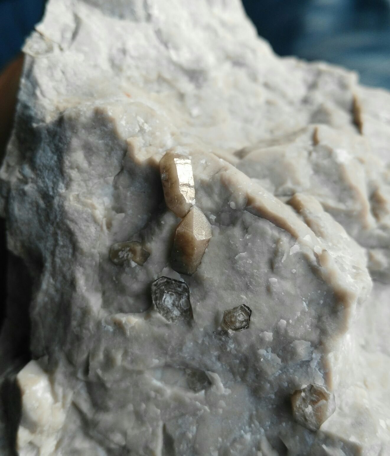 Cuarzo
0,5 x 0,3 cm
(Autor: Javi Llamazares)