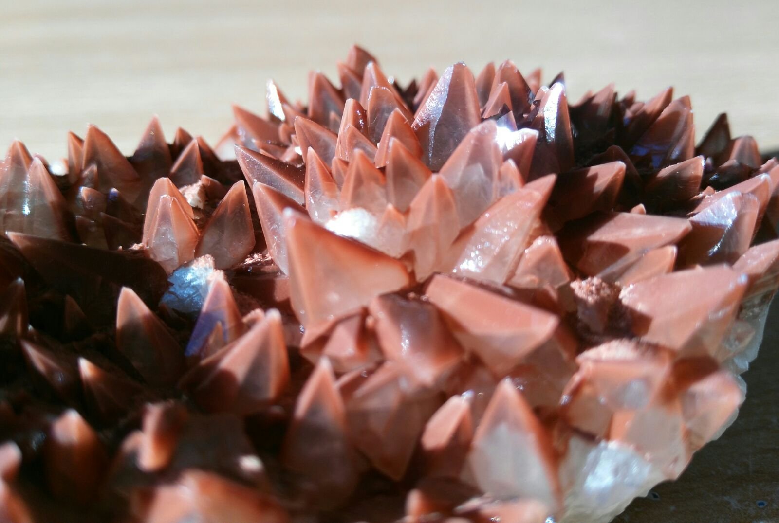 Calcita
12 x 6 cm
(Autor: Javi Llamazares)