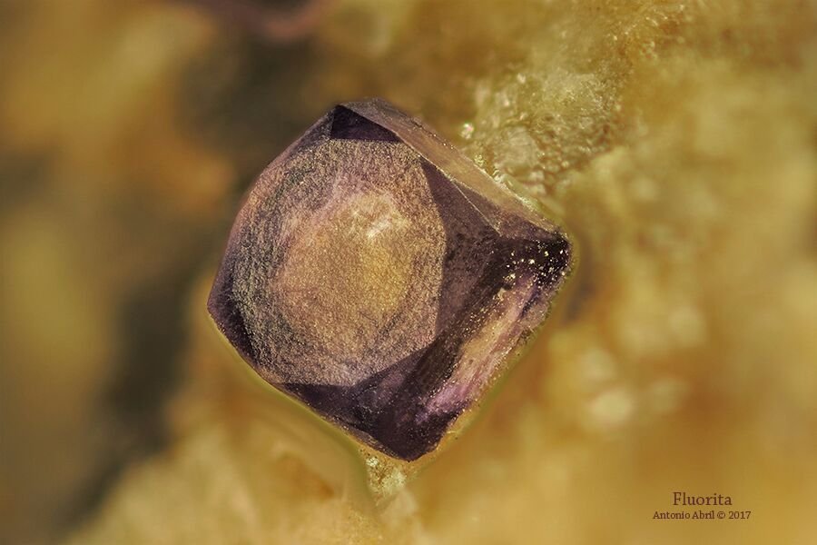 Fluorita
3,5 x 3 x 1 cm
(Autor: Antonio Alcaide)